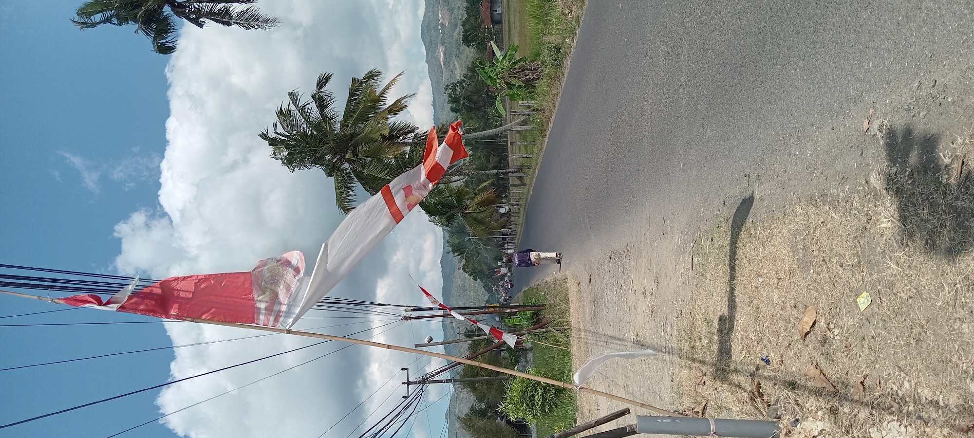 In Karangpawitan, Indonesia, an Indonesian flag, red and white, flies from a bamboo pole on the side of a paved road. The flag is partially unfurled, with the red section at the top and white below, displaying a national emblem. A person walks away from the camera down the road, wearing a dark blue shirt and light-colored pants. The road curves slightly to the left and is lined with trees, including palm trees, and some vegetation. In the distance, more trees and hills are visible under a partly cloudy sky. Electrical wires crisscross the scene above the flag and road. The area beside the road is a dry, grassy patch with some scattered leaves and debris.