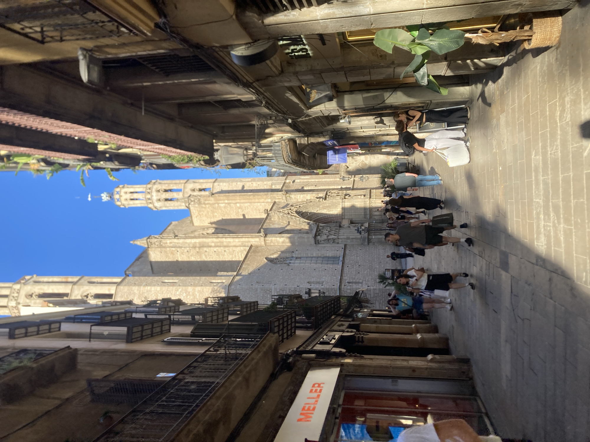 This image captures a sunny day in the Gothic Quarter of Barcelona, Spain, showing a narrow street with historic buildings on either side and the imposing facade of the Barcelona Cathedral at the end of the street. The cathedral, constructed of light-colored stone, features tall spires and arched windows, indicative of Gothic architecture.
On the left side of the street, a commercial building displays a "MELLER" sign, with storefronts and balconies visible. The right side of the street features older buildings with ornate balconies and what appears to be shops.
Several individuals are walking along the cobblestone street. Some are couples, while others are alone or in small groups. People are dressed in casual summer attire. A couple is seen kissing in the foreground, and others are engaged in activities such as shopping or sightseeing.
The sunlight casts long shadows across the street, highlighting the texture of the cobblestones and the architecture of the buildings. A large potted banana plant stands near a doorway on the right, adding a touch of greenery to the urban scene. The sky is a clear, bright blue.