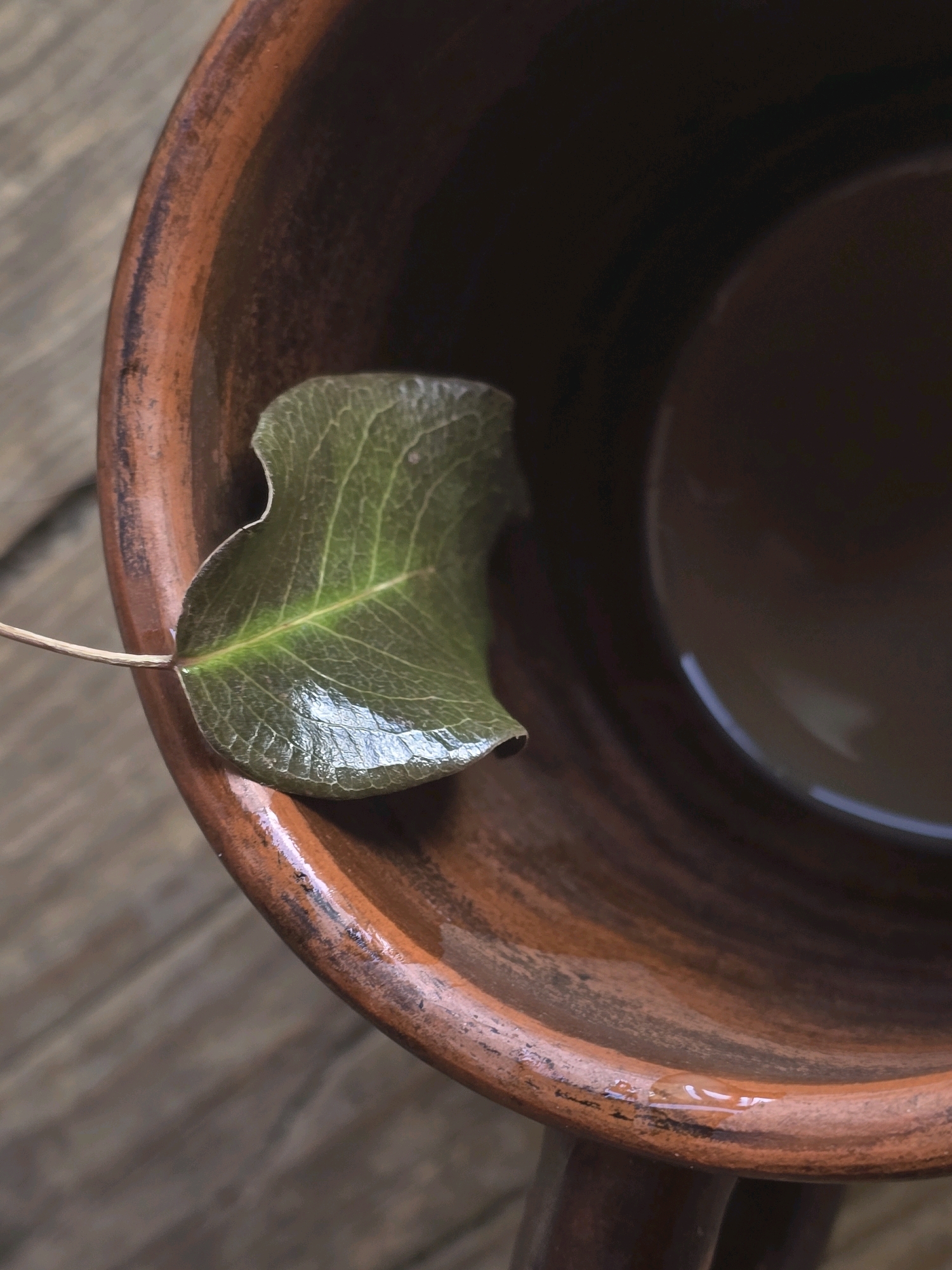 A single green leaf with visible veins rests on the rim of a dark brown, rustic ceramic mug, which is positioned on a weathered wooden surface. The mug contains a dark liquid, and a small droplet of liquid is visible on the mug's rim. The background consists of the wooden surface and the interior of the mug. There are no people present, and no discernible location within the city of Podolsk, Russia can be identified from the image.