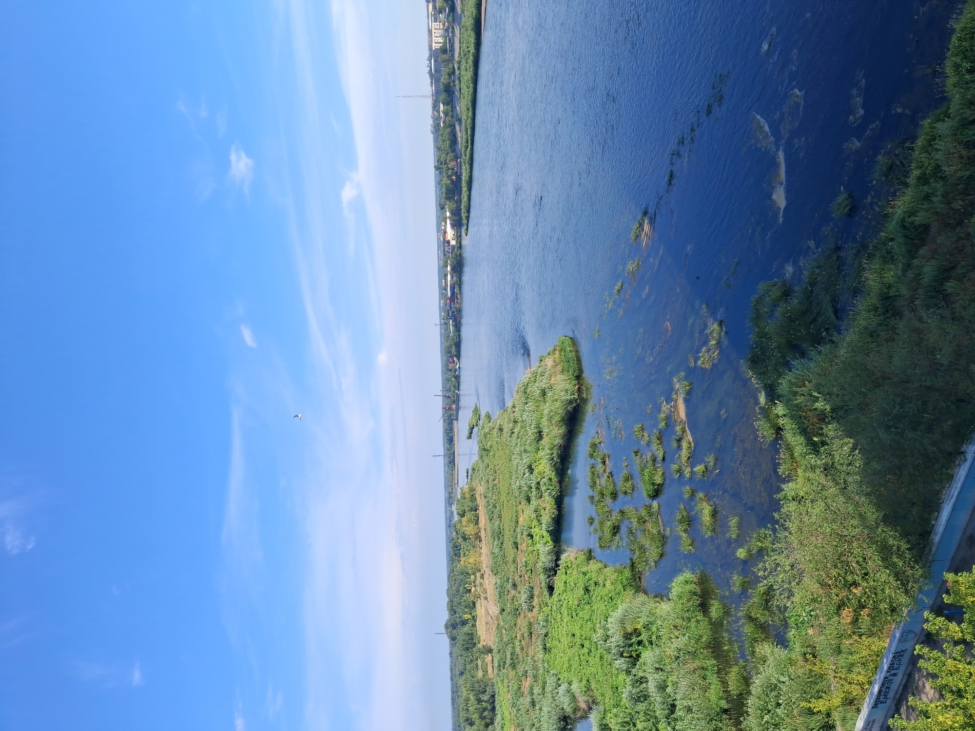 The image depicts a wide, calm river with a blue, slightly cloudy sky above. Lush green vegetation grows along the riverbanks and in some shallow areas within the river. In the distance, a city skyline with buildings, industrial structures, and trees is visible. The scene appears to be a natural landscape with urban elements at the periphery, likely taken from an elevated vantage point. The location is identified as the Irtysh River in the city of Semey, Kazakhstan.