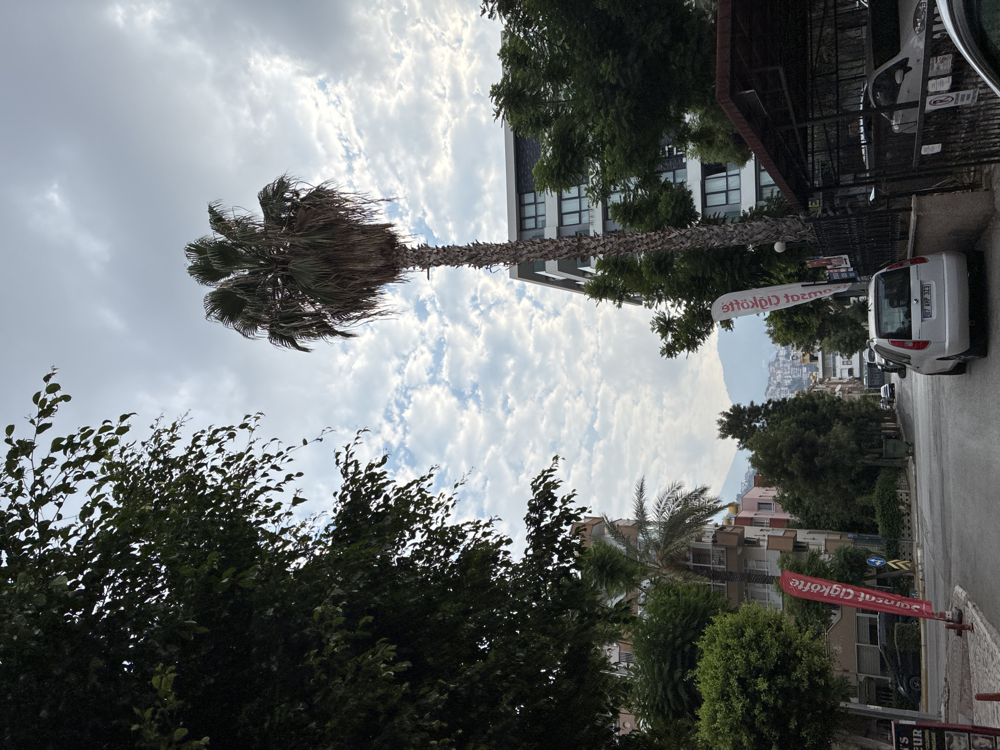 This image depicts a street scene in Alanya, Turkey, under a cloudy sky. A tall palm tree stands prominently in the foreground, its trunk textured and its fronds spread wide. To the right, a modern apartment building with multiple floors and balconies is visible, partially obscured by lush green trees. On the left, a dense canopy of dark green foliage from a large tree frames the scene.
The street itself is paved, with a white car parked on the right side of the road. A red flag with white text, likely advertising a business, stands vertically on the sidewalk near the left edge of the image. In the distance, a cityscape with buildings and hills can be seen, suggesting the location is within a residential or commercial area of Alanya. The overall atmosphere appears calm, with no people visible in the frame. The lighting suggests it might be late afternoon or early morning, given the diffuse light.