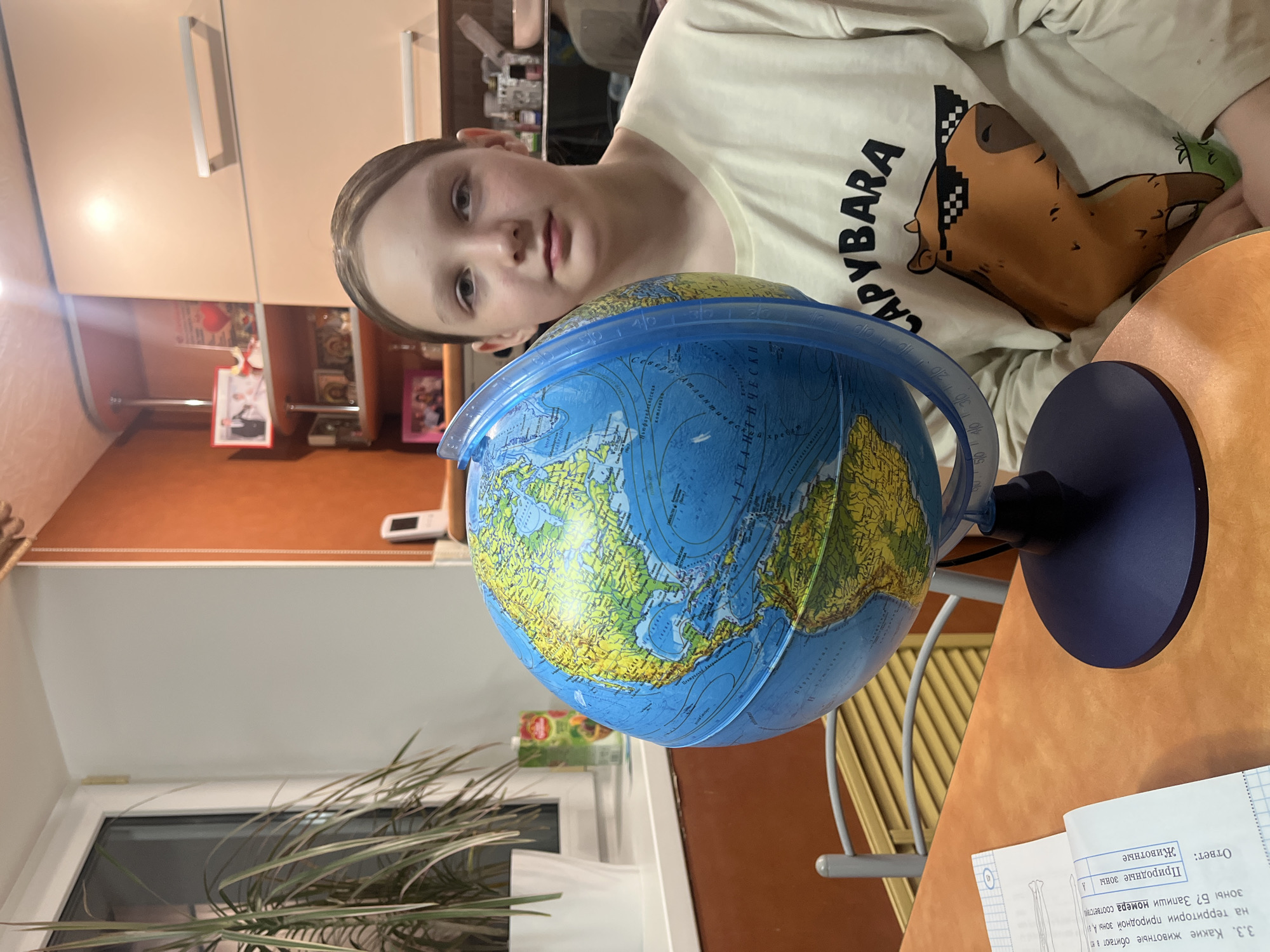 A young person is pictured indoors in Chaikovsky, Russia, looking towards the camera while a blue and yellow globe sits on a desk in front of them. The person has light skin and hair, and is wearing a light-colored t-shirt featuring a stylized image of a capybara wearing sunglasses, with the word "CAPYBARA" visible next to it. Their expression is neutral and observant.
The globe prominently displays North and South America. Visible Russian text on the globe includes "СЕВЕРО-АТЛАНТИЧЕСКИЙ ОКЕАН" (North Atlantic Ocean) and "Ньюфаундлендская" (Newfoundland). The globe is mounted on a blue stand on a light brown/orange desk.
An open notebook or textbook is visible on the desk to the right, showing Russian text related to a school assignment. The text includes headings like "Ответ:", "Природные зоны" (Natural zones), and "Животные" (Animals), along with a question: "3.3. Какие животные обитают в... на территории природной зоны А, а зоны Б? Запиши номера соответстви" (3.3. Which animals inhabit... in natural zone A, and zone B? Write down the corresponding numbers). This suggests a geography or biology study session.
The background shows light-colored kitchen cabinets with silver handles. Below the cabinets, shelves hold various items, including framed pictures or decorations. A window is visible to the left, partially obscured by a houseplant with long, striped leaves. The overall scene suggests a home environment, likely a kitchen or dining area being used for studying. The lighting appears to be from indoor sources, possibly supplemented by light from the window.