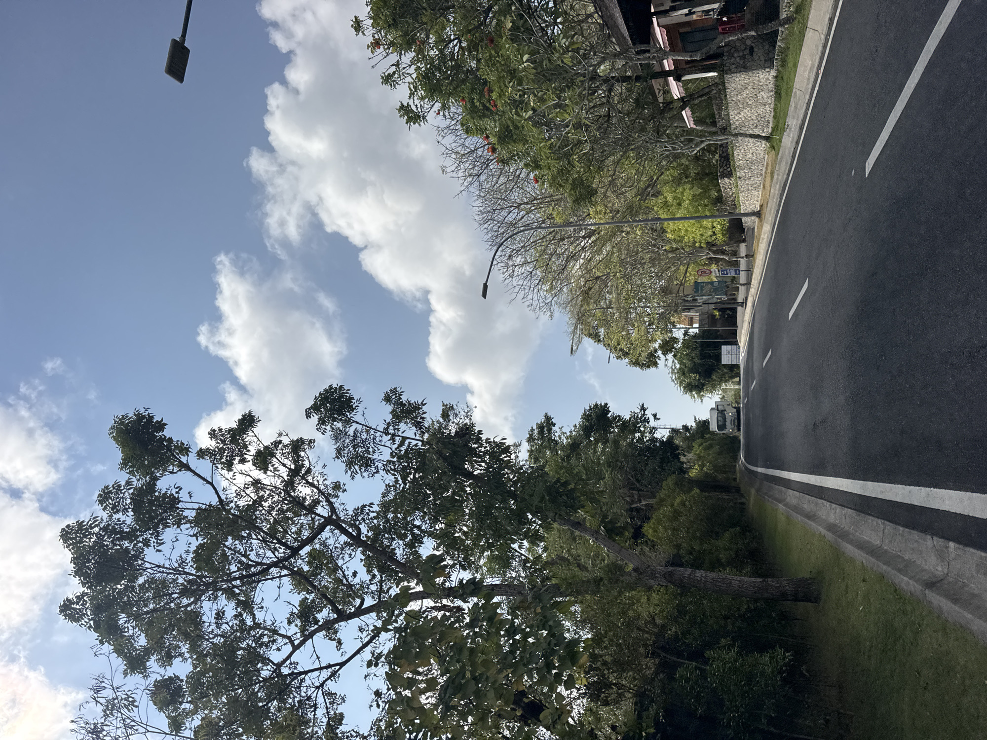 The image depicts a road scene in Kuta Selatan, Indonesia. A paved road with white lane markings curves towards the distance. On the left side of the road, a well-maintained grassy verge with a concrete curb is visible, bordered by lush green trees and vegetation. On the right side of the road, there are more trees, some with bare branches and others with green foliage. Some buildings with red awnings and stone walls line the right side of the road. In the distance, a white truck is approaching. The sky above is blue with scattered white clouds. Streetlights are visible along the road.