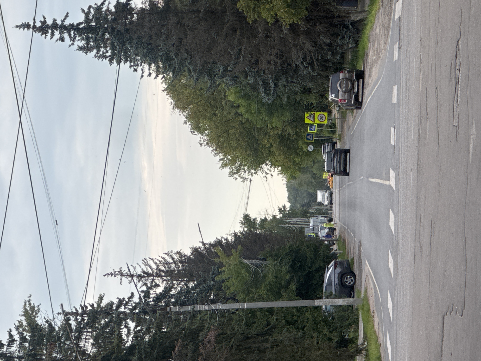 The image depicts a straight, asphalt road in the city of Dedovsk, Russia, lined with mature coniferous and deciduous trees. The sky is overcast. Several cars are visible on the road, including a dark SUV on the left, a black car in the middle distance, and a silver Suzuki SUV on the right. Road markings, including a pedestrian crossing and lane dividers, are clearly visible. Traffic signs, including a pedestrian crossing sign and a speed limit sign of 20, are posted on the right side of the road. There are power lines overhead. The road surface shows signs of wear with some potholes.
