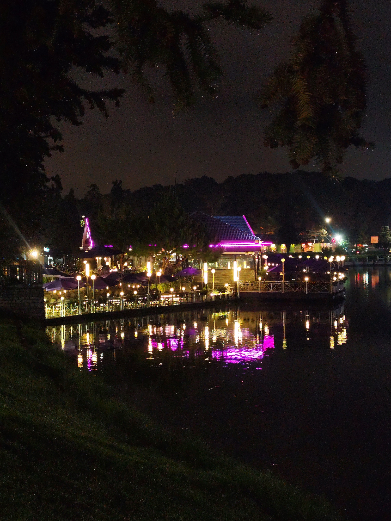 The image depicts a night scene at Xuan Huong Lake in Da Lat, Vietnam. A structure, appearing to be a restaurant or gathering place, is built on a platform extending over the water. The structure is illuminated with numerous lights, including strings of yellow lights and some with purple accents, which reflect in the dark water of the lake. The building has an Asian-style tiled roof, also with purple lighting. There are tables and umbrellas visible on the platform, suggesting an outdoor dining area. Dense trees are visible in the background, partially obscuring the skyline. Foreground shows a grassy bank leading down to the water's edge. Branches of a dark tree hang down from the upper part of the image.