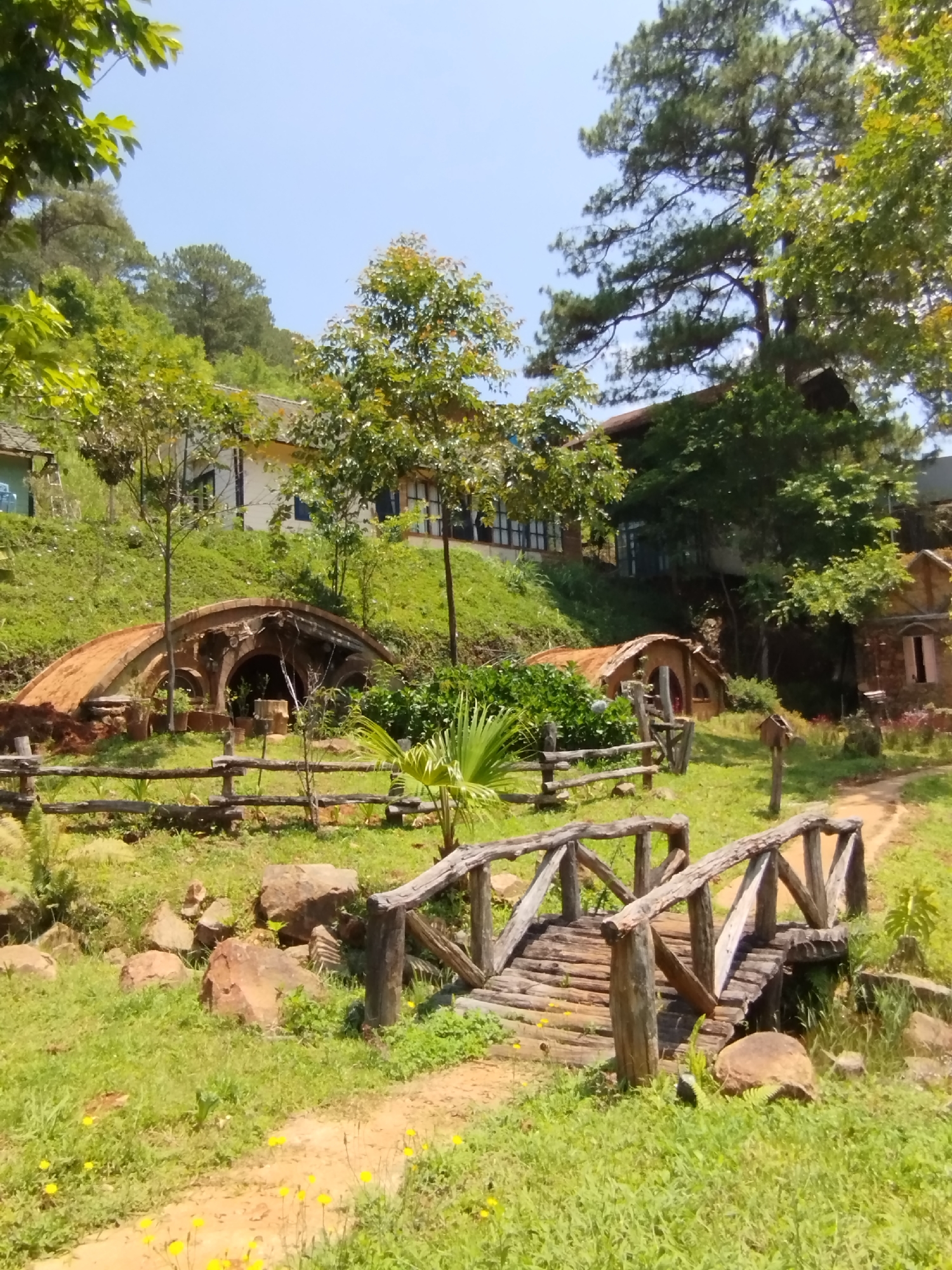 This image captures a serene hillside landscape in Da Lat, Vietnam, bathed in bright daylight under a clear blue sky. The scene features a blend of natural greenery and unique architectural structures.
In the foreground, a rustic wooden bridge, constructed from logs and branches, spans a small depression. A dirt path, adorned with scattered small yellow wildflowers, leads to and from the bridge, winding through vibrant green grass. Several large, natural rocks are visible amidst the grassy areas near the path and bridge.
The mid-ground reveals several distinctive buildings. To the left, a large, archway-like structure is built into the hillside, resembling an earth-sheltered home or "hobbit hole," with a detailed, arched facade. Another smaller, similar structure is partially visible further to the right, nestled into the slope. A wooden fence, crafted from rough logs, stretches across this section, separating the foreground path from these structures and dense shrubs.
Higher up the hillside, in the background, several larger, multi-story buildings with light-colored walls and dark roofs are nestled amongst numerous trees. These buildings appear more conventional in design compared to the ground-level structures. Tall pine trees and various other leafy trees dominate the background and provide shade.
No people are visible in the scene, suggesting a tranquil and uninhabited moment. The bright, clear conditions indicate a sunny day. The overall impression is one of a peaceful, whimsical, and harmonious integration of architecture with the natural environment, characteristic of certain themed resorts or parks found in Da Lat. No text is visible.