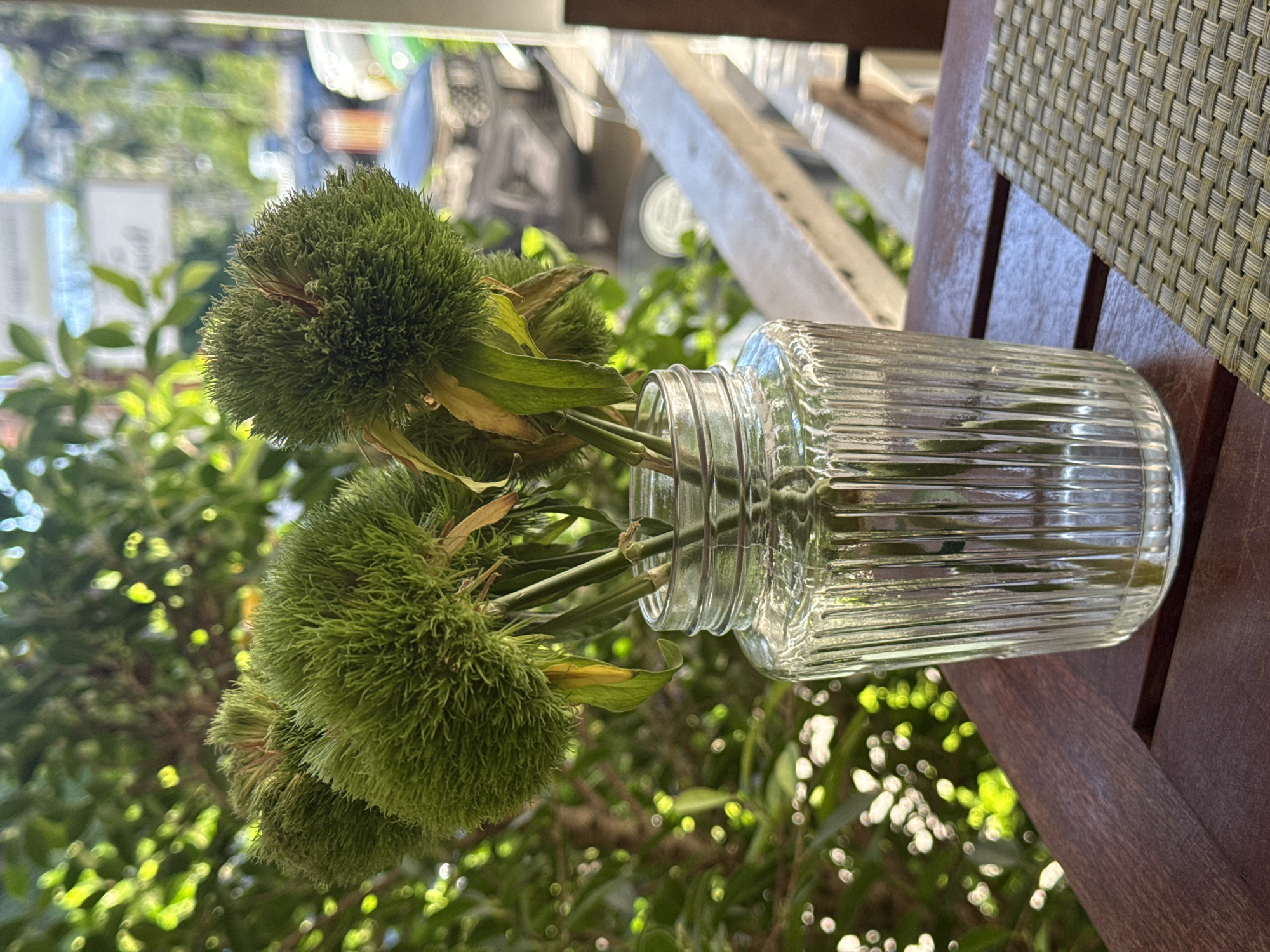 A close-up, eye-level shot captures a clear glass jar filled with green, spiky plant heads, possibly dried flowers, sitting on a dark wooden table. The jar has vertical ridges. Behind the jar, lush green foliage and a blurred background suggest an outdoor setting. In the distance, hints of a town or street can be seen, with a white railing and some vehicles. The lighting suggests a bright, possibly sunny day, creating bokeh effects in the background foliage. The scene is situated in Ko Samui District, Thailand, likely on a balcony or patio of a cafe or restaurant. There are no people or animals visible in the image.
