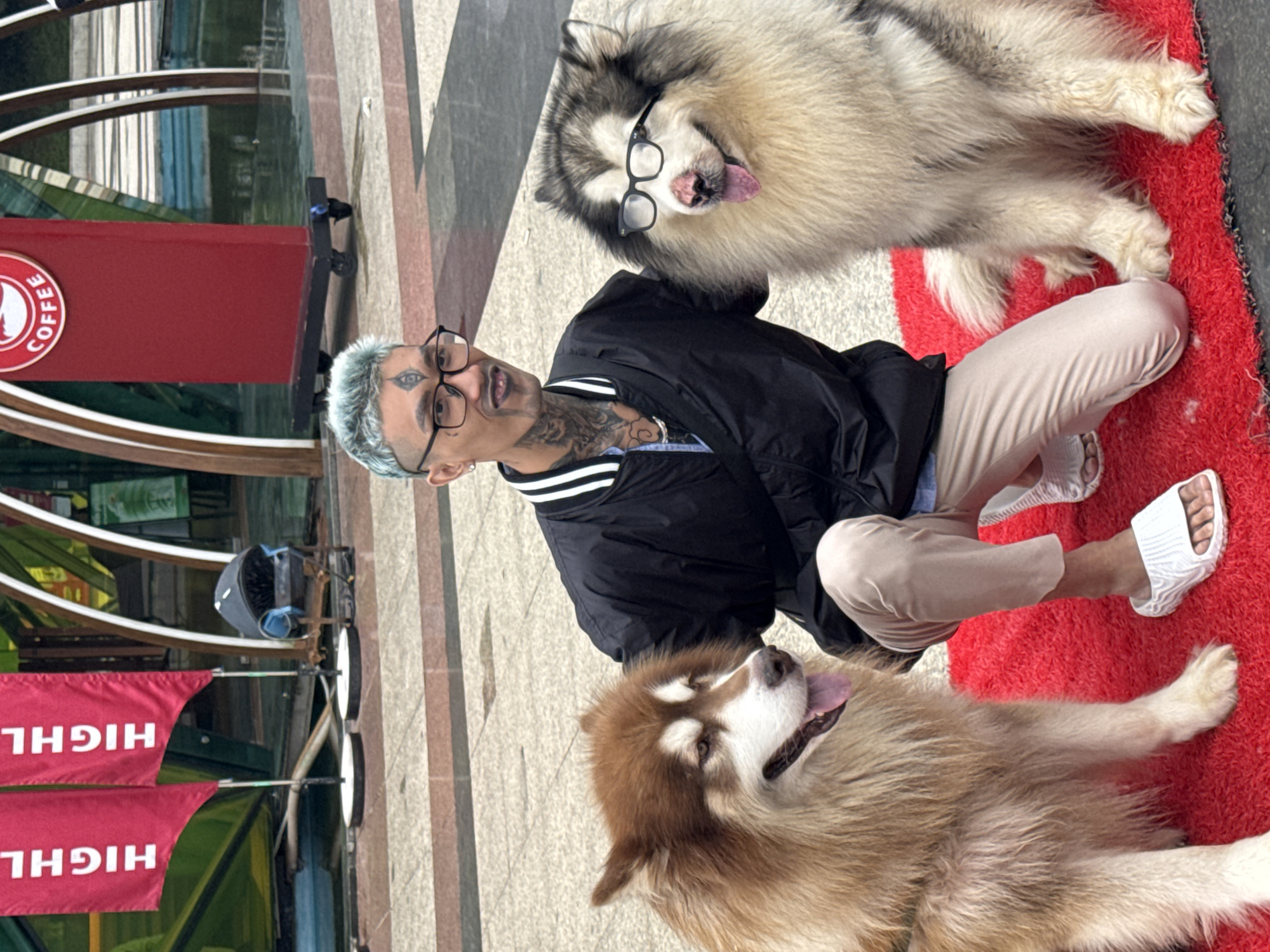 In Da Lat, Vietnam, a fair-skinned man with pale blue hair, multiple tattoos, and glasses is kneeling on a red surface. He wears a black jacket, light tan pants, and white sandals. He's surrounded by two large dogs, one grayish-white wearing glasses, and one light brown. The dogs are lying down and appear to be panting. The background includes a red coffee stand, a bicycle-like cart, and flags reading "HIGHL" in white letters on red. The ground appears to be paved with grey and brown stone patterns.
