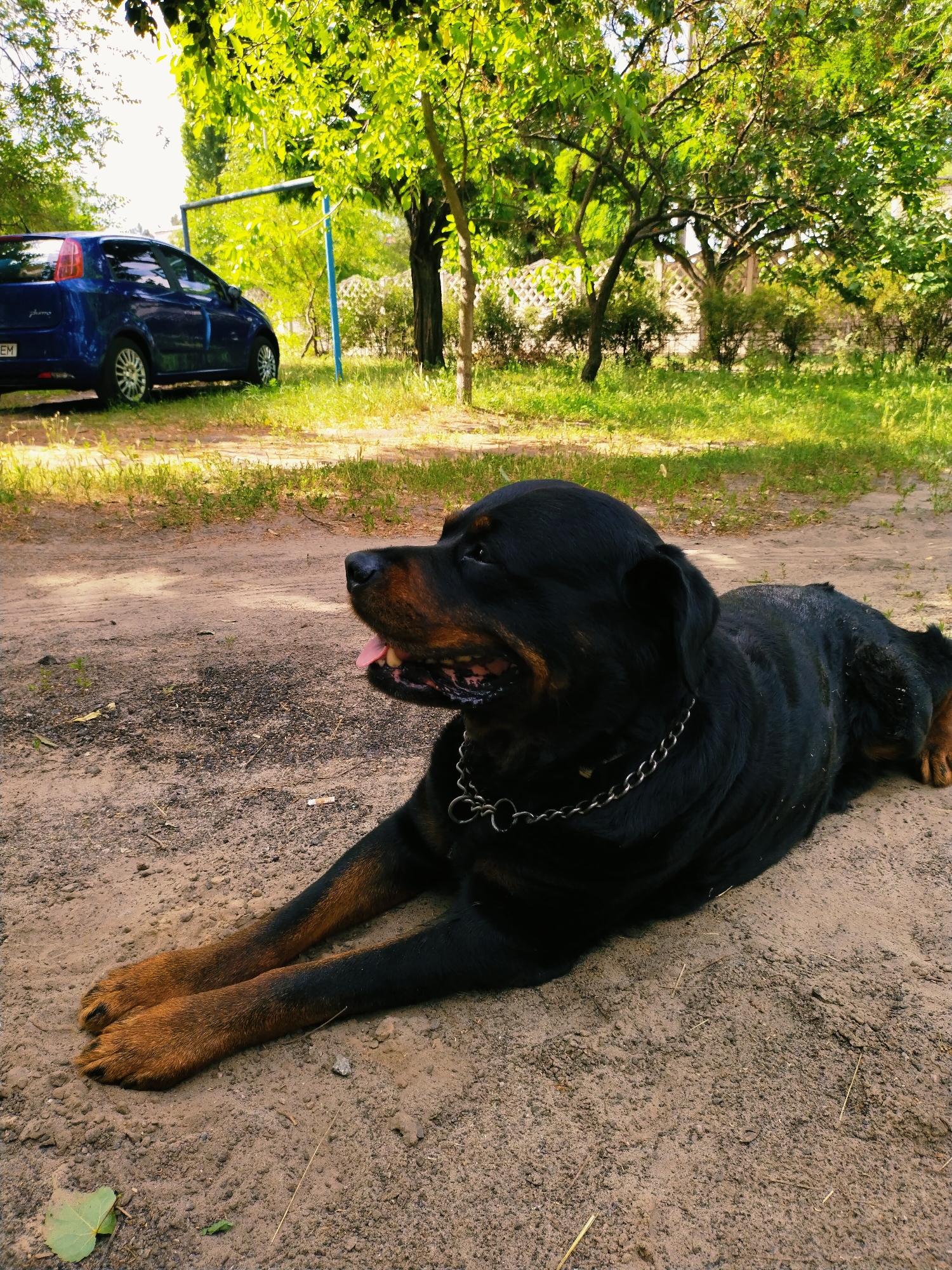Memory
