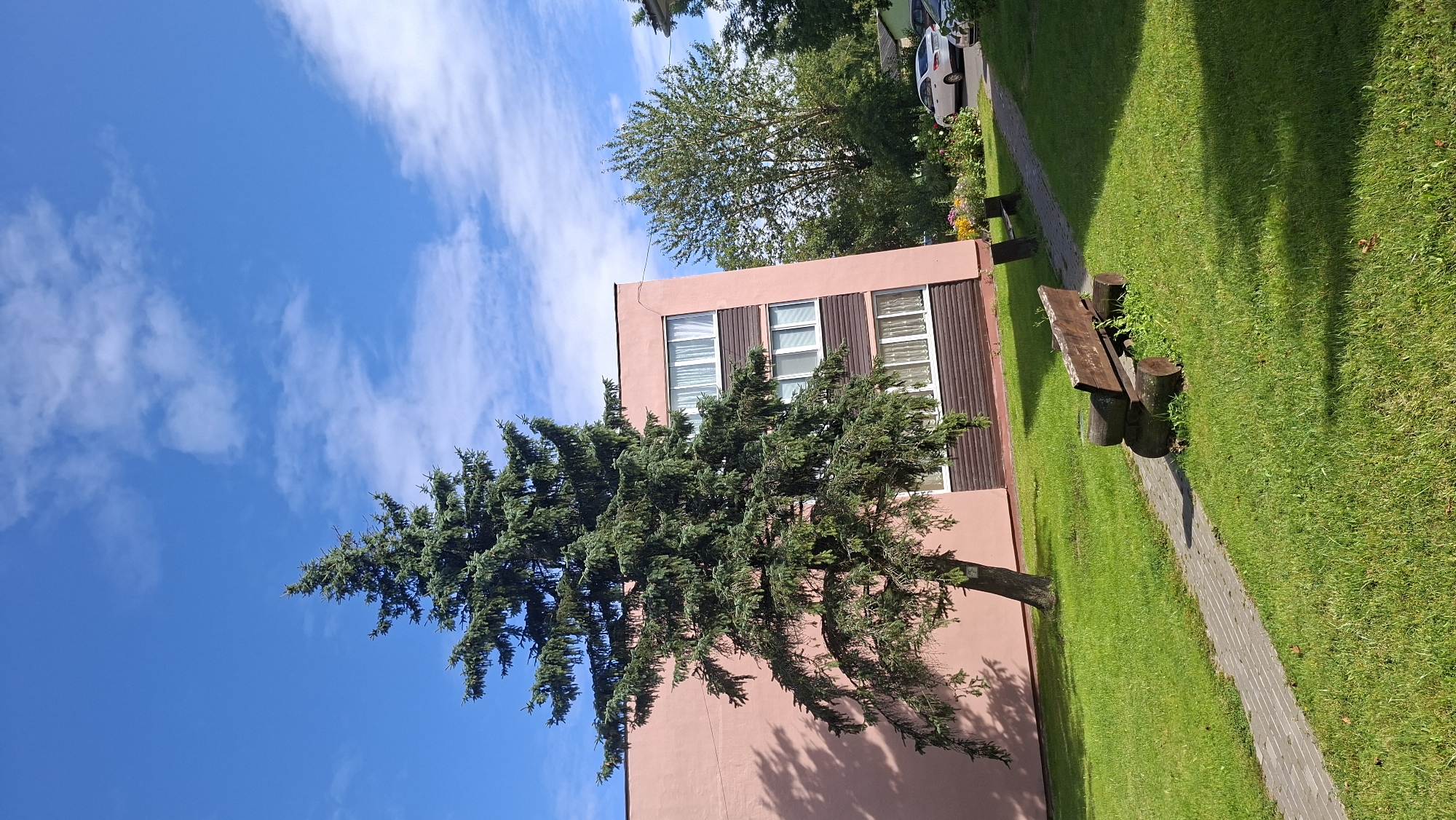 An exterior, medium-shot, vertical, daylight photograph captures a residential building with a pink facade and brown trim. A tall, green fir tree stands in front of the building, casting a shadow on the adjacent grass. A paved walkway, lined with grass, leads to a rustic wooden bench made of logs. In the background, trees and parked cars are visible. The sky is blue with scattered white clouds. This scene is located in the city of Myadzyel, Belarus.