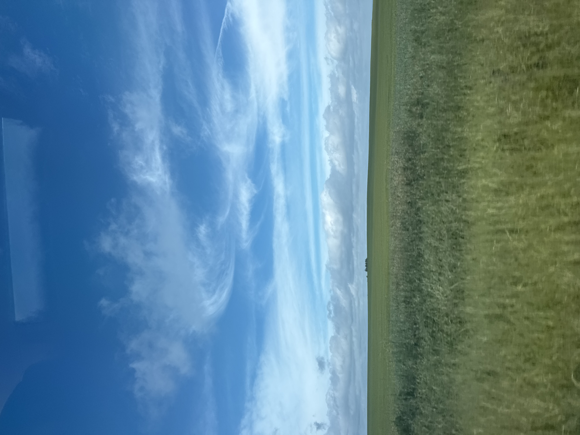 The image depicts a vast, open field of green grass under a bright blue sky filled with wispy white clouds. In the distance, a small cluster of trees is visible on the horizon. The foreground shows a blur of tall green grass, suggesting motion, possibly from a moving vehicle. The overall scene conveys a sense of rural tranquility and open space. The location is identified as Makarovo, Russia.