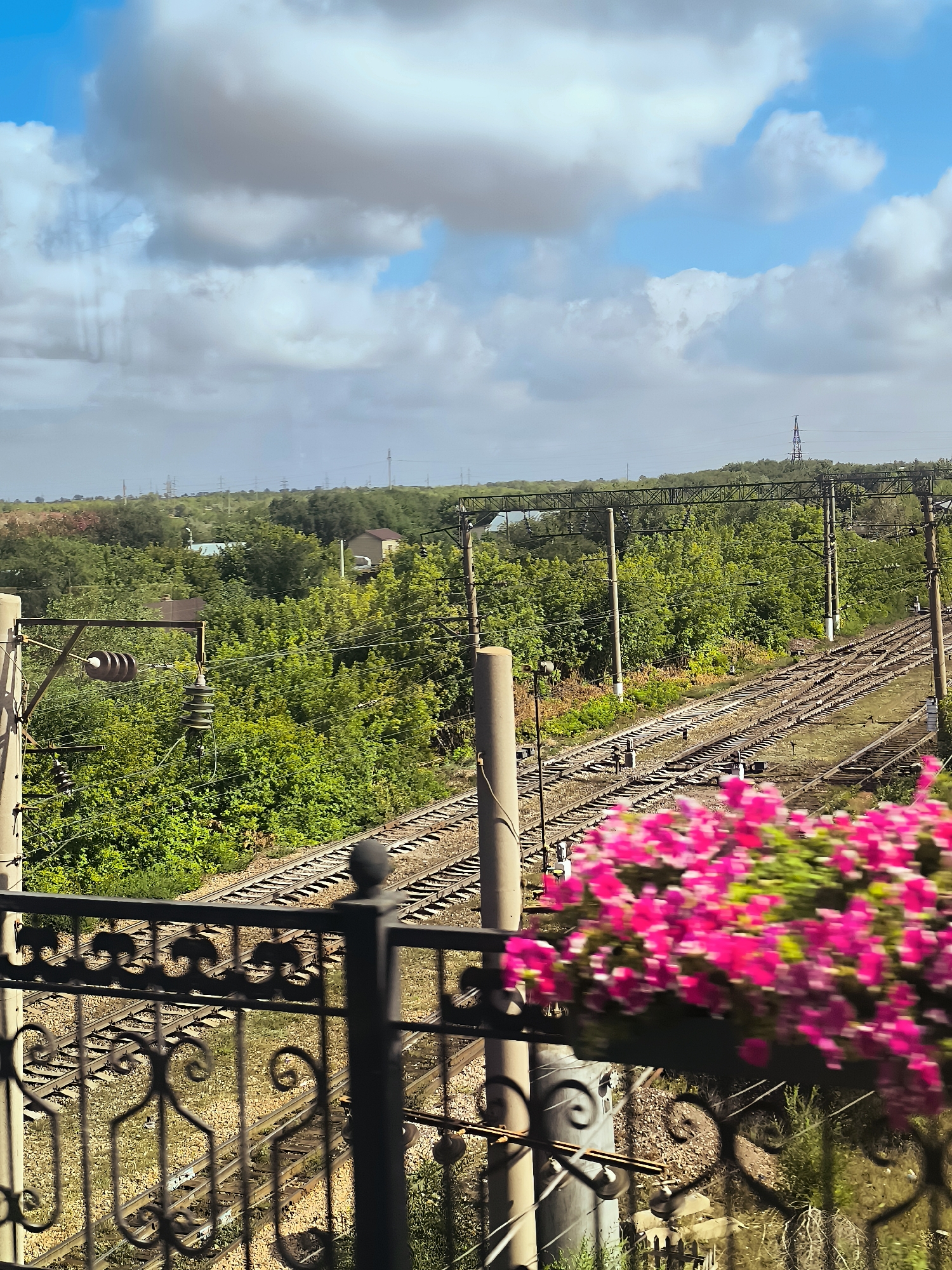 The image shows a view from a train or elevated vantage point overlooking a set of railroad tracks winding through a lush green landscape. In the foreground, a decorative black metal railing with ornate scrollwork is visible, with a planter box filled with vibrant pink flowers in the upper right corner. Beyond the railing, the tracks are laid out in a series of parallel lines, suggesting a junction or complex network. The surrounding area is densely wooded with various shades of green trees, and a few small buildings or houses are nestled among them. In the distance, power lines and transmission towers are scattered across a gently rolling terrain. The sky above is a mix of blue sky and large, fluffy white and gray clouds, indicating a partly cloudy day. The overall scene conveys a sense of natural beauty juxtaposed with man-made infrastructure, likely captured during a journey through the outskirts of a city. The presence of railroad tracks and power lines suggests an area with transportation and utility services, common in urban or suburban environments. The lush vegetation indicates a temperate climate with sufficient rainfall to support abundant plant life.