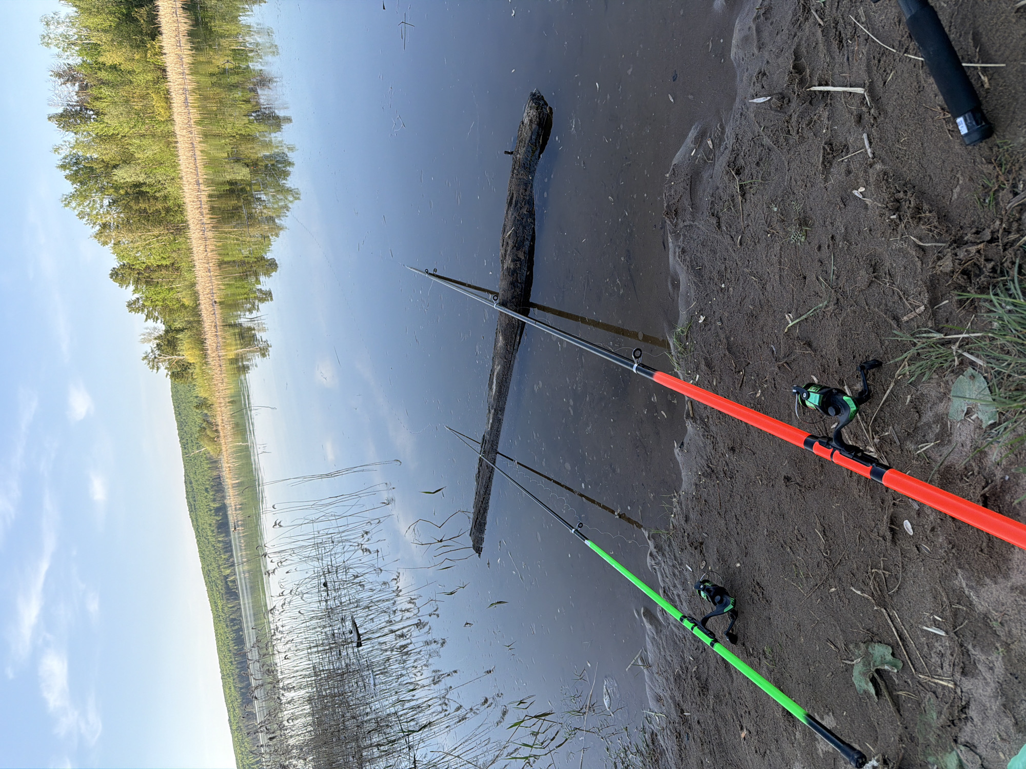 The image depicts a lakeside scene in an unidentified location. Two fishing rods, one neon green and the other neon orange, are positioned on a muddy bank at the edge of the water. The rods extend into the water, reaching towards a submerged log. Reeds are visible in the water near the bank. In the background, a line of trees runs along the opposite shore under a blue sky with clouds. The angle of the photograph suggests it was taken from a tilted perspective.
