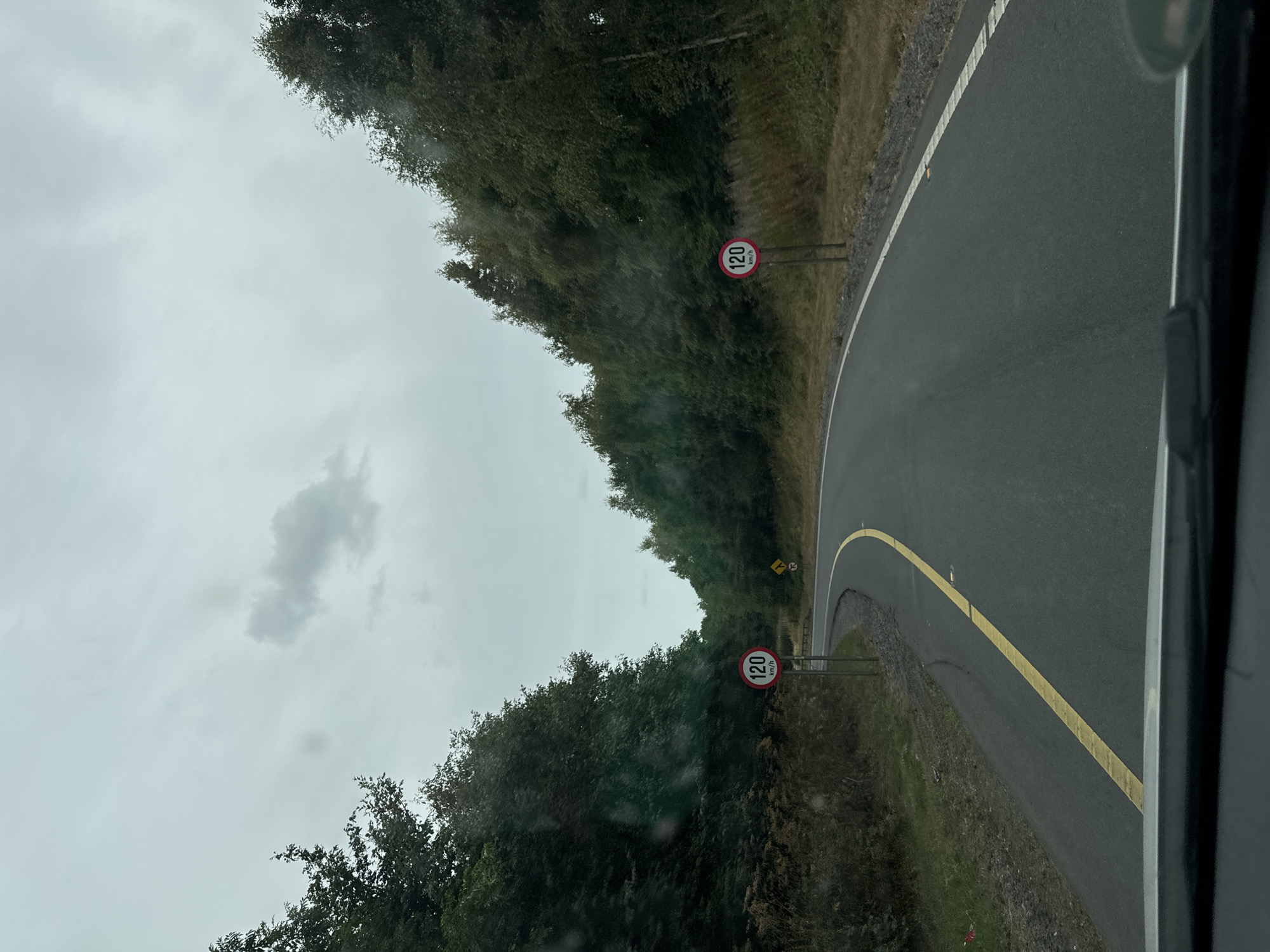 The image captures a view from a vehicle driving on a two-lane road bordered by dense trees on both sides. The road curves to the left, with a solid yellow line marking the center. A white line runs along the right edge of the road, and small reflective markers are visible on the edge. On the left side of the road, a speed limit sign indicates "120 km/h." On the right side, another identical speed limit sign is visible. Further down the road, a yellow warning sign is present. The sky is overcast and cloudy. The scene appears to be a rural or semi-rural area, possibly a highway or main road. There are no people or animals visible in the image. The location is identified as Newbridge, Ireland.