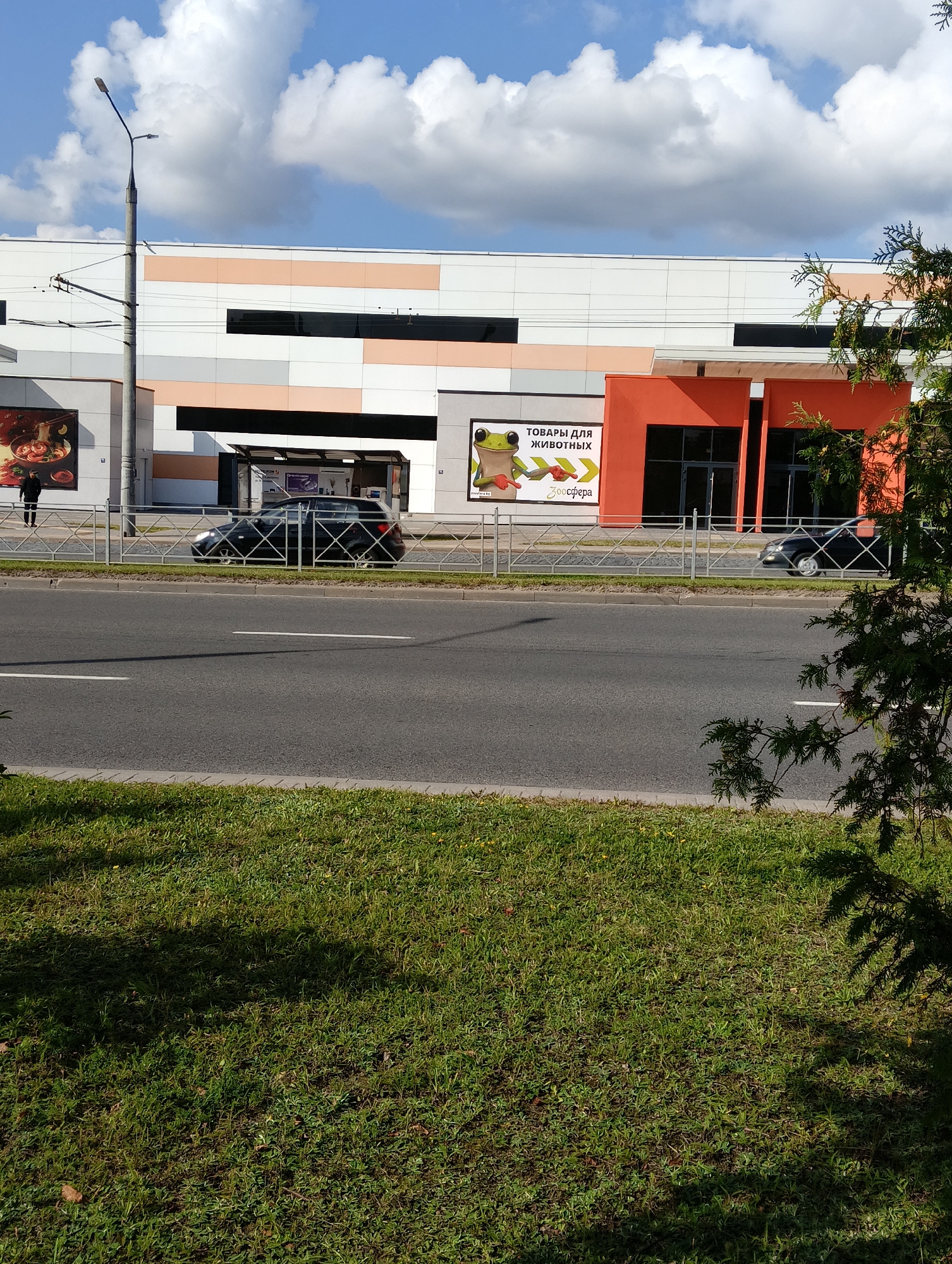 The image depicts a street scene in Hrodna, Belarus. A modern building with a facade of white, peach, and grey panels runs across the upper portion of the frame. Orange accents highlight the entrance area. To the left of the entrance, a large poster advertises food, and a person in dark clothing stands near it. To the right of the entrance, another poster features a cartoon frog and text that reads "ТОВАРЫ ДЛЯ ЖИВОТНЫХ" (Goods for Animals) and "Зоосфера" (Zoosphere). Two black cars are visible on the asphalt road that runs horizontally across the middle of the image, separated from the building by a metal fence. A street lamp stands tall on the left side of the frame. The foreground is a grassy area with scattered yellow flowers and shadows cast by trees. The sky is blue with prominent white clouds.
