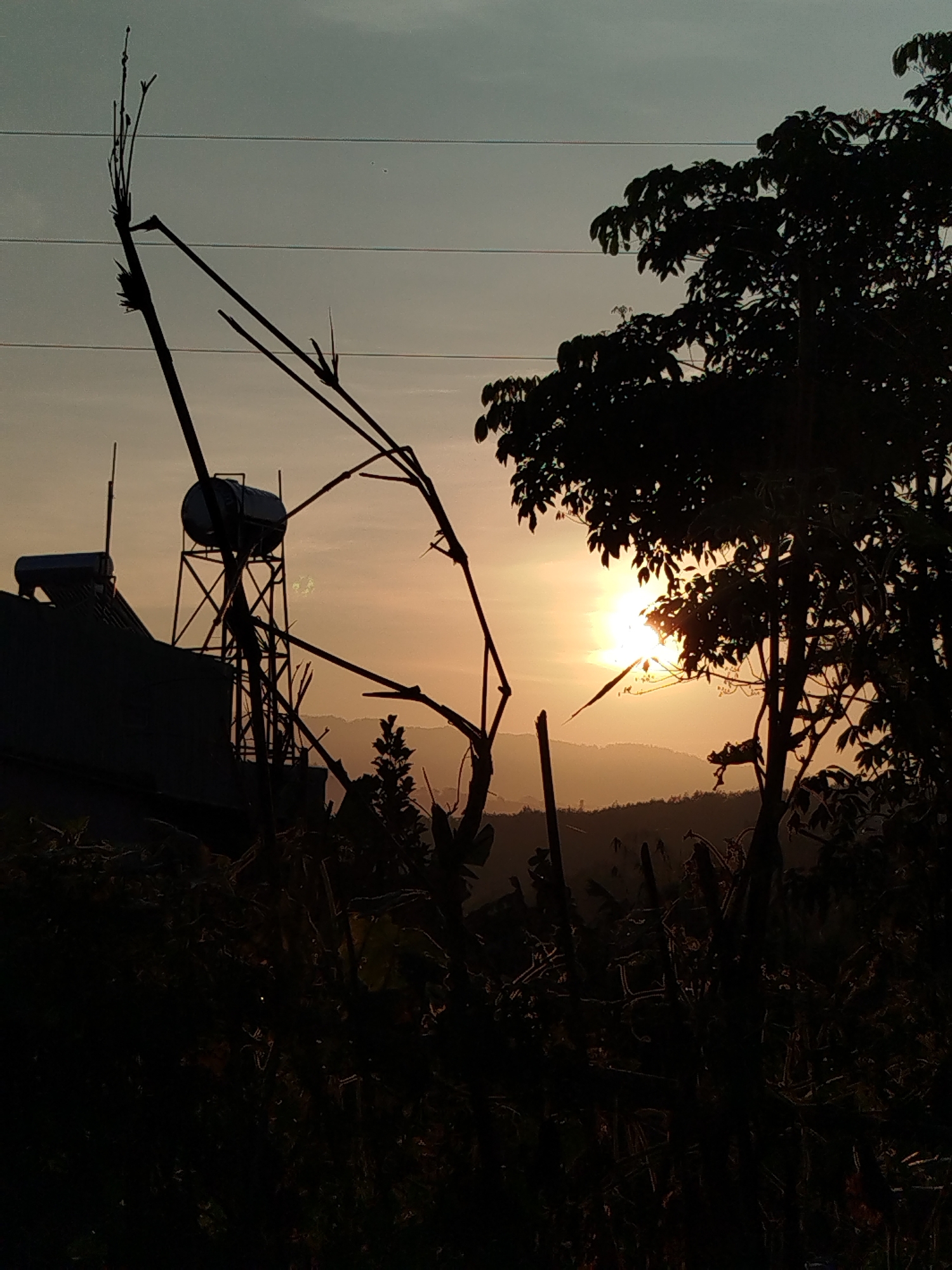 The image depicts a landscape at sunset in Bờ Y, Vietnam. The silhouette of a building with a water tank on a platform is visible on the left. Tall, leafless stalks rise prominently in the foreground. To the right is the silhouette of a tree with dense foliage. The sun is positioned between the hills in the distance, partially obscured by the tree. Utility lines stretch across the sky. The foreground vegetation is in deep shadow, with indistinct forms.