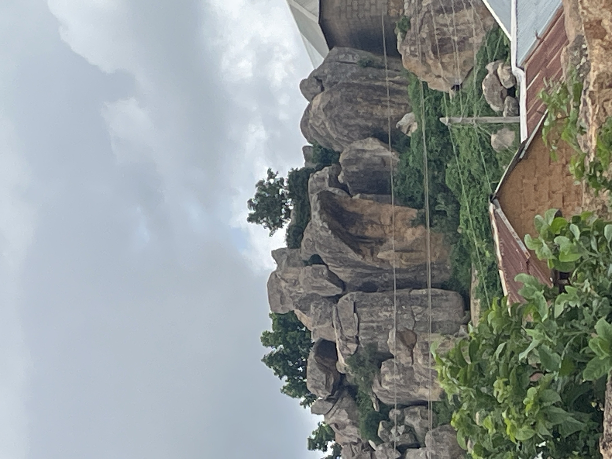 A low-angle, full shot captures a rocky, overgrown hillside under a cloudy sky. The foreground shows the tops of several rustic buildings with corrugated metal roofs. Lush green foliage, including leafy branches, grows in front of and around the buildings. The midground is dominated by a large, weathered rock formation with varying textures and shades of gray and brown. Green vegetation and small shrubs are interspersed among the rocks. Several utility poles and wires are visible on the hillside. The background consists of a cloudy, overcast sky with patches of lighter gray. No people are visible in the image. The scene depicts a natural landscape integrated with a rural or semi-rural settlement.