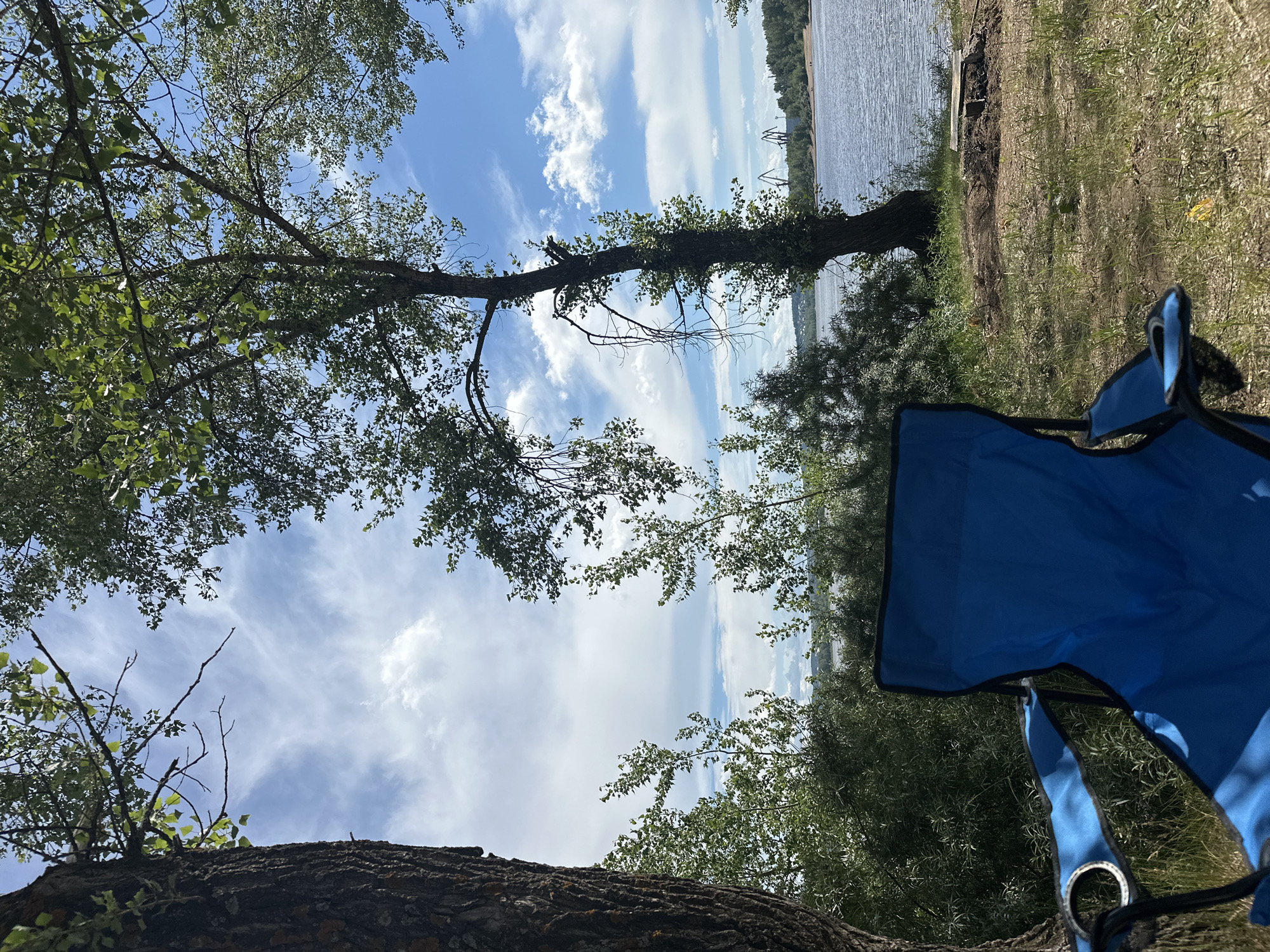 The image depicts a serene outdoor scene, likely in the city of Noviy, Russia, characterized by a body of water, lush vegetation, and a clear sky. In the foreground, a vibrant blue camping chair is positioned to offer a view of the landscape. The chair, made of fabric and metal, appears to be set up for relaxation.
The middle ground is dominated by a tranquil river or lake, its surface reflecting the light from the sky. Along the riverbank, dense green foliage and trees create a natural barrier, suggesting a park or a recreational area. In the distance, the opposite bank of the water is visible, featuring a tree line and hinting at further urban or natural elements.
The background showcases a bright blue sky adorned with wispy white clouds, indicating fair weather. The presence of a few scattered trees framing the scene adds to the natural ambiance. There are no people or animals immediately visible in the frame, contributing to the peaceful and solitary atmosphere of the location. The overall impression is one of a quiet, natural setting conducive to outdoor leisure.