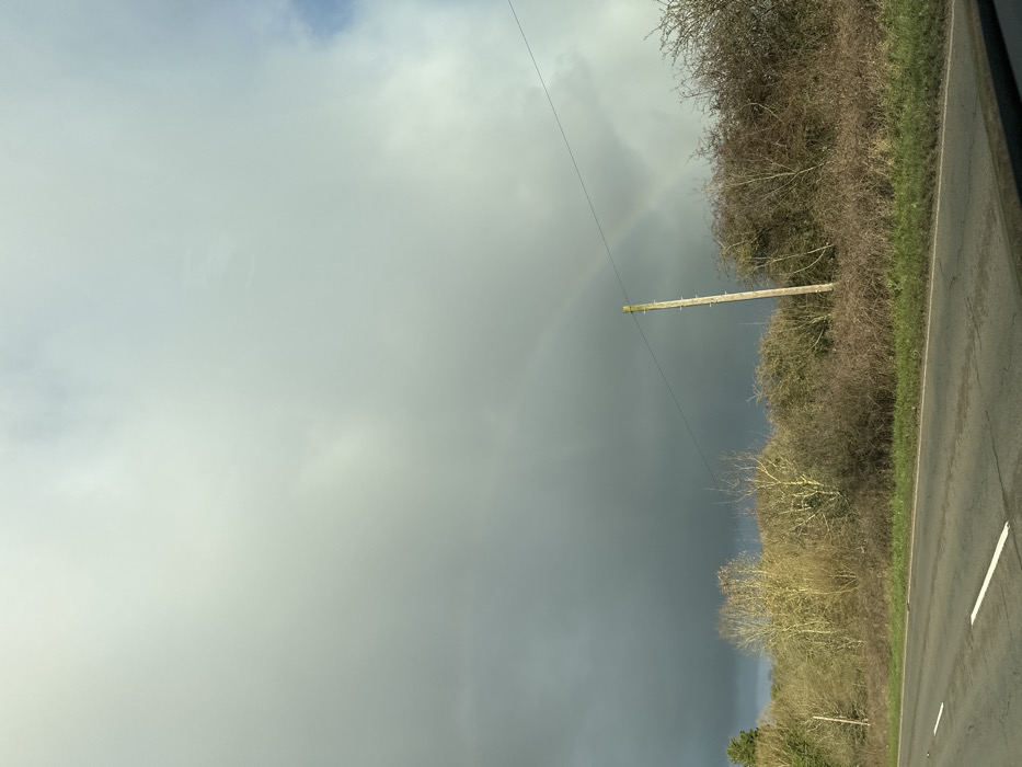 The image displays a rural roadside scene under an overcast sky. The upper two-thirds of the frame are dominated by dark grey, heavy cloud cover, against which a faint, arcing rainbow is discernible, spanning from the left-center towards the right. A small area of lighter, possibly broken cloud, is visible in the upper right. The lower third features a dark grey tarmac road, exhibiting a solid white edge line on the left and a partially visible dashed white center line further into the frame. A narrow green grass verge separates the road from a dense line of vegetation. This vegetation consists primarily of bare deciduous trees and shrubs, indicative of late autumn or winter, with some branches showing a light yellowish-green hue. A tall, slender wooden utility pole is prominently positioned on the right side, extending above the treeline, with a single dark utility wire stretching horizontally across the middle of the sky. No individuals, vehicles, or specific identifying landmarks are present. The scene is consistent with a rural road environment within the Breckland District, United Kingdom; however, a precise location within the district cannot be determined from the visual evidence.