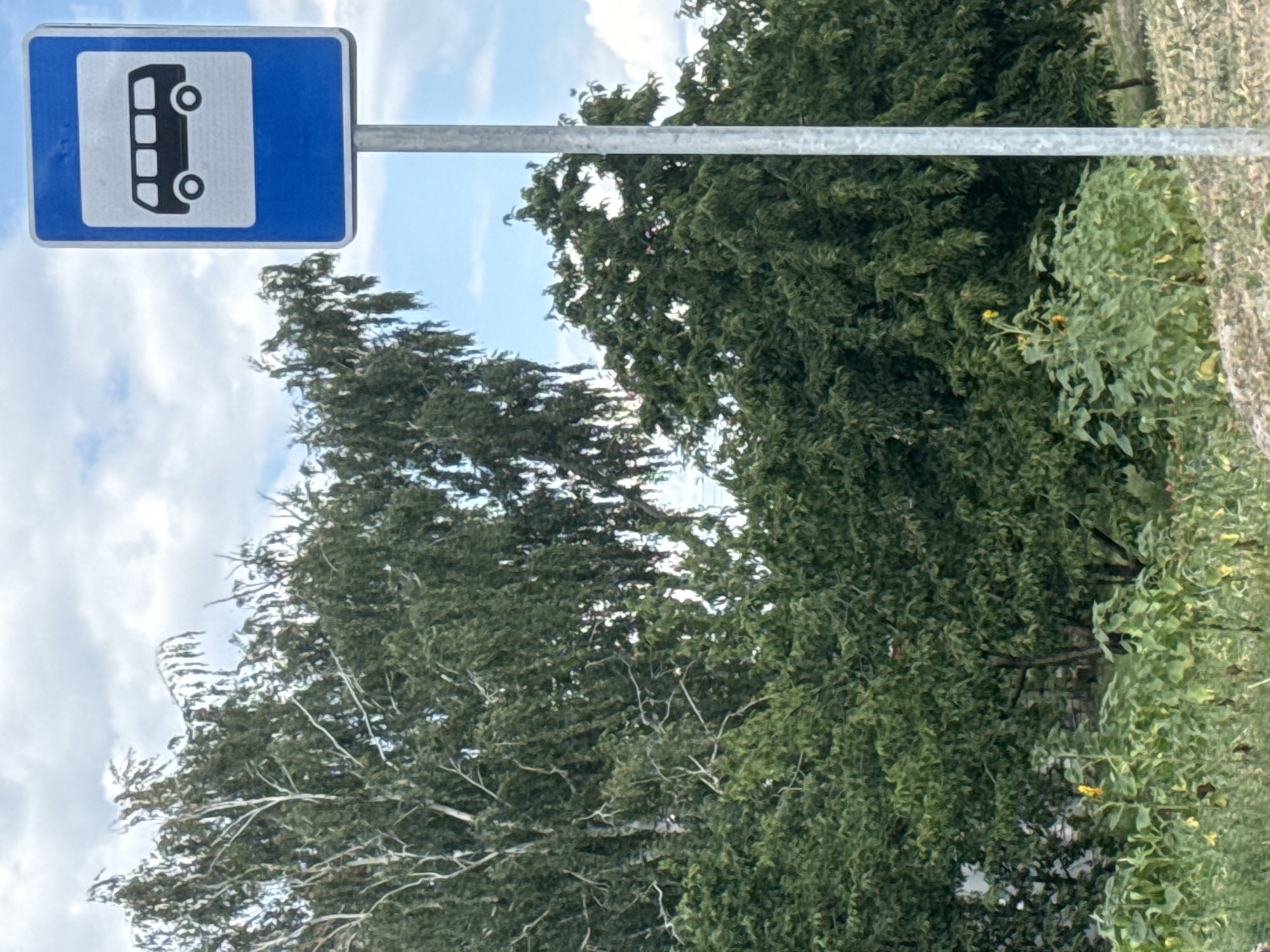 The image shows a bus stop sign in Shulhynka, Ukraine. The sign is blue with a white border and a black silhouette of a bus. The bus is depicted from the side, with its windows and wheels visible. The sign is mounted on a metal pole.
Behind the sign, there are trees and a cloudy sky. The trees are lush and green, suggesting it is summer or early autumn. The sky is partly cloudy, with patches of blue visible. The overall impression is one of a rural or suburban setting.
There is no activity or event taking place in the image; it is a still photograph of a bus stop sign. The time of day appears to be daytime, likely late morning or afternoon, given the lighting. The weather appears to be mild, with the sun occasionally breaking through the clouds. There are no people or animals visible in the image.
The image does not contain any visible text other than the symbol on the bus stop sign. The location is identified as Shulhynka, Ukraine. The scene is peaceful and ordinary, depicting a common roadside feature.