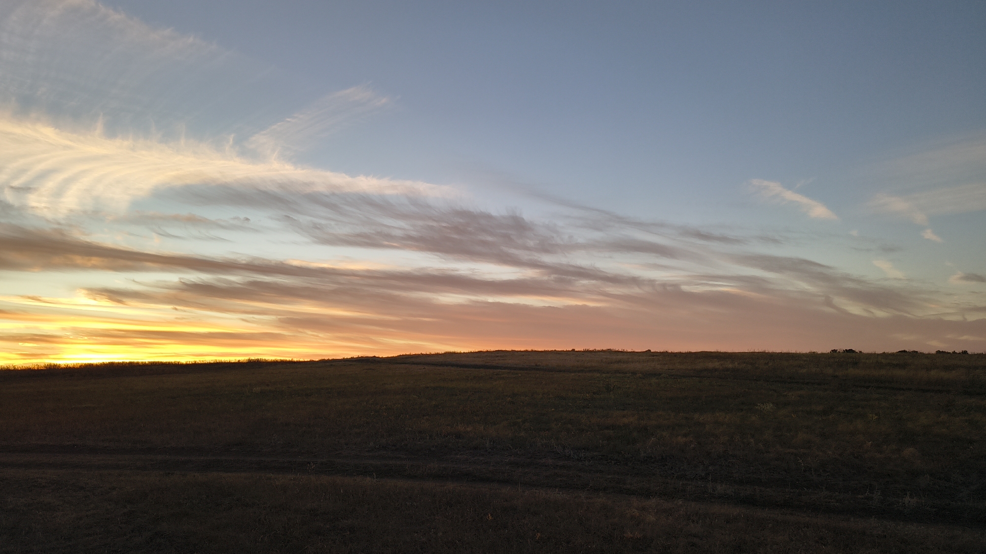 An outdoor landscape photograph captures a sunset over a grassy, undulating field. The sky transitions from a pale blue at the top to vibrant shades of orange and yellow near the horizon, illuminated by the setting sun. Wispy clouds, tinged with pink and white, are scattered across the sky. The foreground consists of a dark, grassy field with tire tracks visible, suggesting it is either a pasture or a dirt road. The horizon line is low, emphasizing the expanse of the sky. The scene appears to be in a rural or natural setting, possibly in the city of Sharasshensky, Russia, given the context provided. There are no people or animals visible in the image.