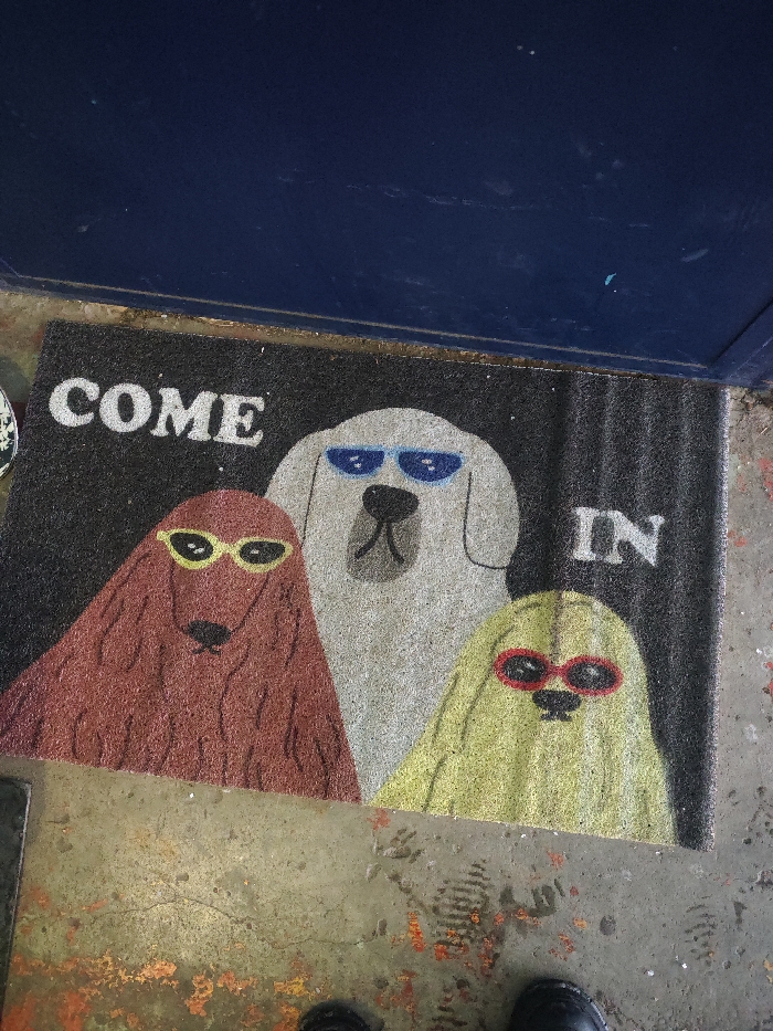 An overhead photograph depicts an entryway in Samara, Russia. The primary subject is a rectangular black doormat, displaying the white capitalized text "COME IN" with "COME" on the left and "IN" on the right. Between the words, three stylized dogs are illustrated, all wearing sunglasses. From left to right: a reddish-brown dog with yellow oval sunglasses, a light grey dog with blue rectangular sunglasses, and a yellowish-green dog with red circular sunglasses. The top portion of the image shows a dark blue door frame or threshold. Below the doormat, a weathered concrete or tiled floor is visible, characterized by varied coloration, dirt, cracks, and scattered orange-red stains. The tips of two black shoes belonging to the photographer are visible at the bottom center of the frame, positioned on the stained floor in front of the doormat.