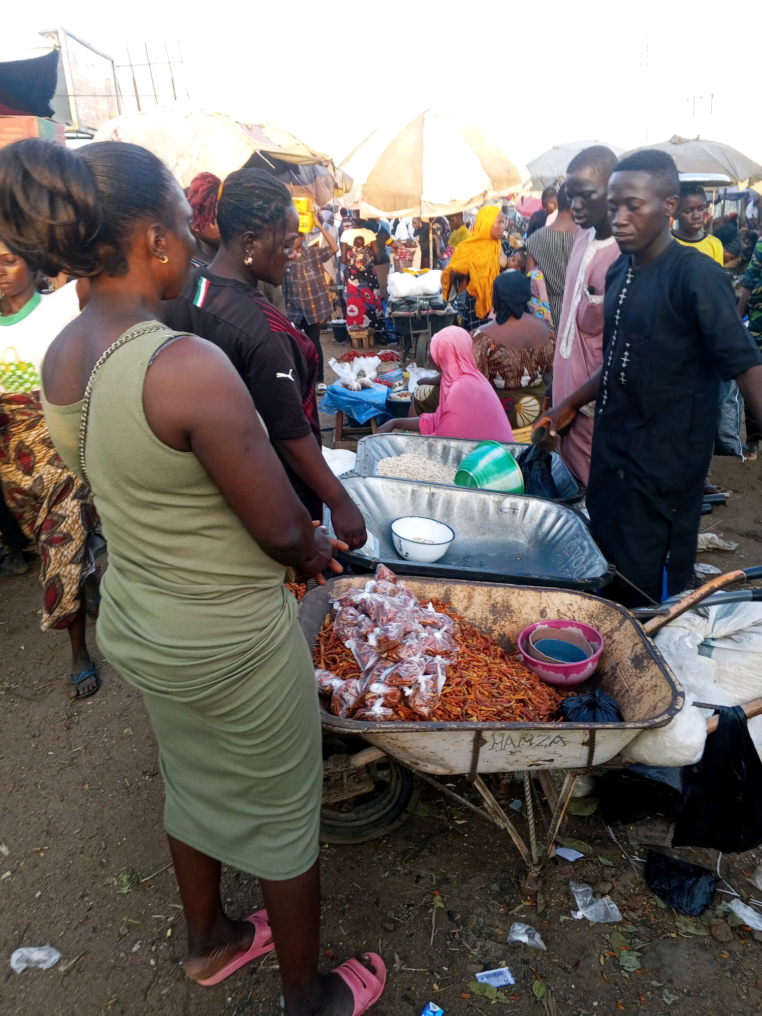 This image captures a busy outdoor market scene, likely in Lokoja, Nigeria, given the context. In the foreground, a woman in a light green sleeveless dress stands facing away from the camera, her back to the viewer, showcasing the drape of her garment and her hair styled in a bun. To her right, a wheelbarrow is filled with produce. The wheelbarrow contains plastic bags of dried red peppers, and a pink bowl with some blue liquid. The wheelbarrow itself has the name "HAMZA" scrawled on its side. Behind the woman, other individuals are visible, including a woman in a black shirt with red and white stripes on the sleeves. Several market stalls with umbrellas are set up in the background, with people browsing and interacting. The ground is dusty and appears to be unpaved. The overall atmosphere suggests a lively commercial environment.