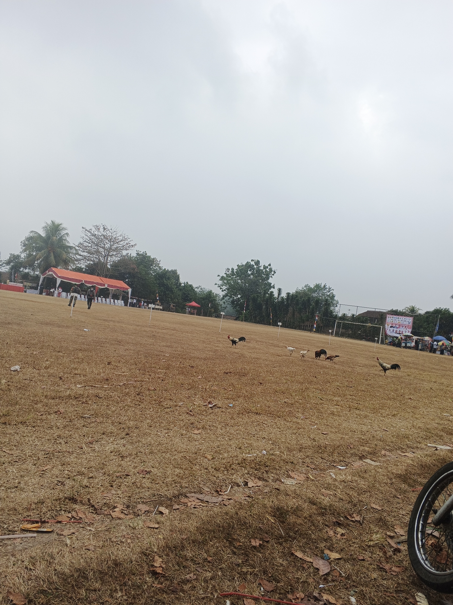 The image depicts an outdoor scene on a dry, grassy field, likely in the city of Warungkiara, Indonesia, given the context provided. The sky is overcast, contributing to the muted lighting. In the foreground, several chickens are visible scattered across the field.
Further back, a large orange and white tent structure is set up, with several chairs arranged underneath it. Two individuals in dark clothing, possibly security personnel or event staff, are standing near the tent. To the right of this tent, another smaller red tent is visible.
In the background, trees form a line along the perimeter of the field, and a white fence with a goalpost structure suggests the presence of a sports field. A banner with multiple figures and text is displayed on the right side of the field, indicating a potential event or gathering. Several people are gathered near the banner and a few umbrellas are visible. A portion of a motorcycle wheel is prominent in the lower right corner of the image. The ground is covered in dry grass and scattered fallen leaves.
