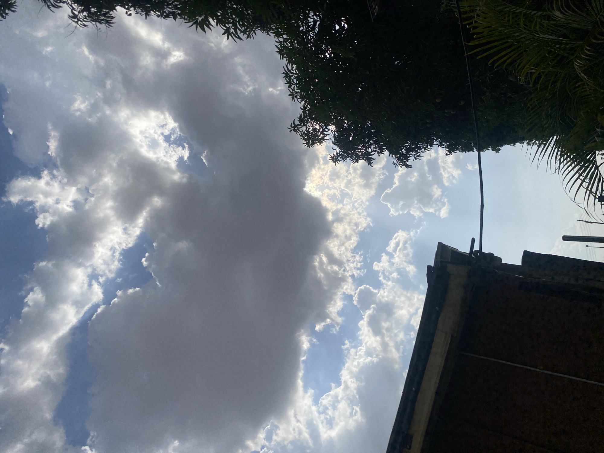 The image shows a view upwards towards a partly cloudy sky, framed by foliage at the top and a building at the bottom right. The clouds are a mix of grey and white, with sunlight filtering through in places. The foliage consists of dark green leaves, likely from trees. The building appears to be an older structure with a sloping roof. Given the request to set the scene in Barden Yana, Nigeria, the vegetation likely represents tropical or subtropical species common to that region. There are no people visible in the image, and no actions or interactions taking place. The environment appears to be outside, during the day.