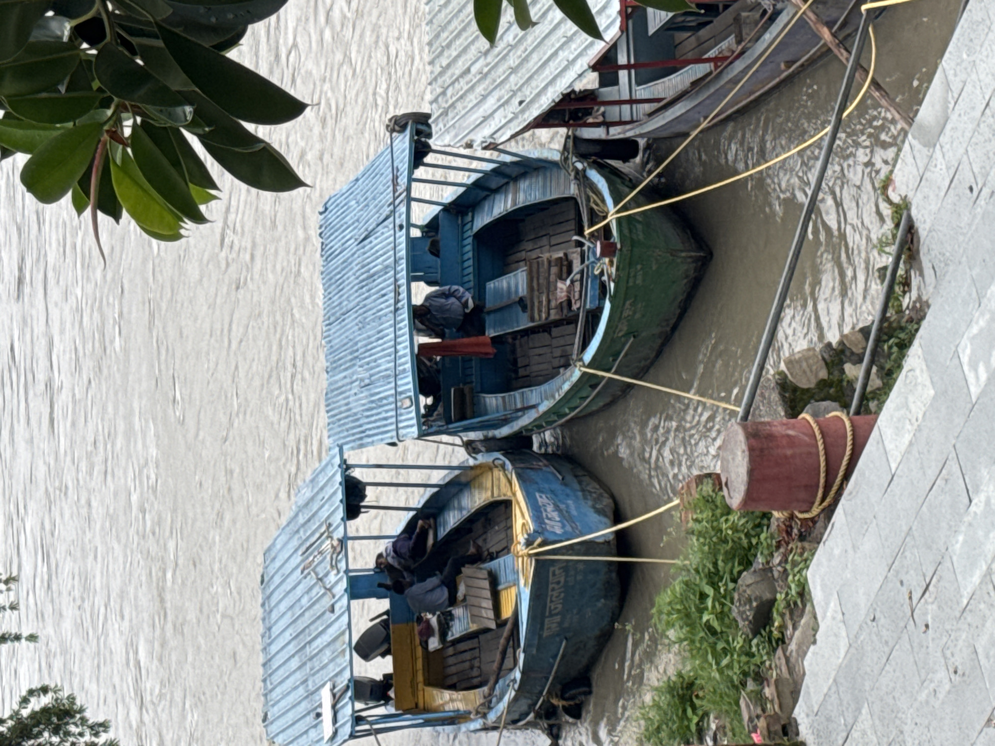The image shows a close-up, high-angle view of three moored boats on the Ganges River in Rishikesh, India. The two boats in the foreground are blue with corrugated metal roofs. The boat on the left is painted blue and yellow, with visible lettering on its hull. There are at least two individuals seated inside this boat. The second boat, to the right, is painted blue and green and also appears to have at least one person inside. A third, darker-colored boat is partially visible to the right of these two. Yellow ropes tie the boats to a red bollard on the shore, which is lined with rocks and lush green vegetation. A concrete walkway with visible stone tiles is in the foreground, leading down towards the river. In the upper right corner, a branch with large green leaves hangs over the scene. The water of the Ganges is a murky brown, reflecting the overcast sky.