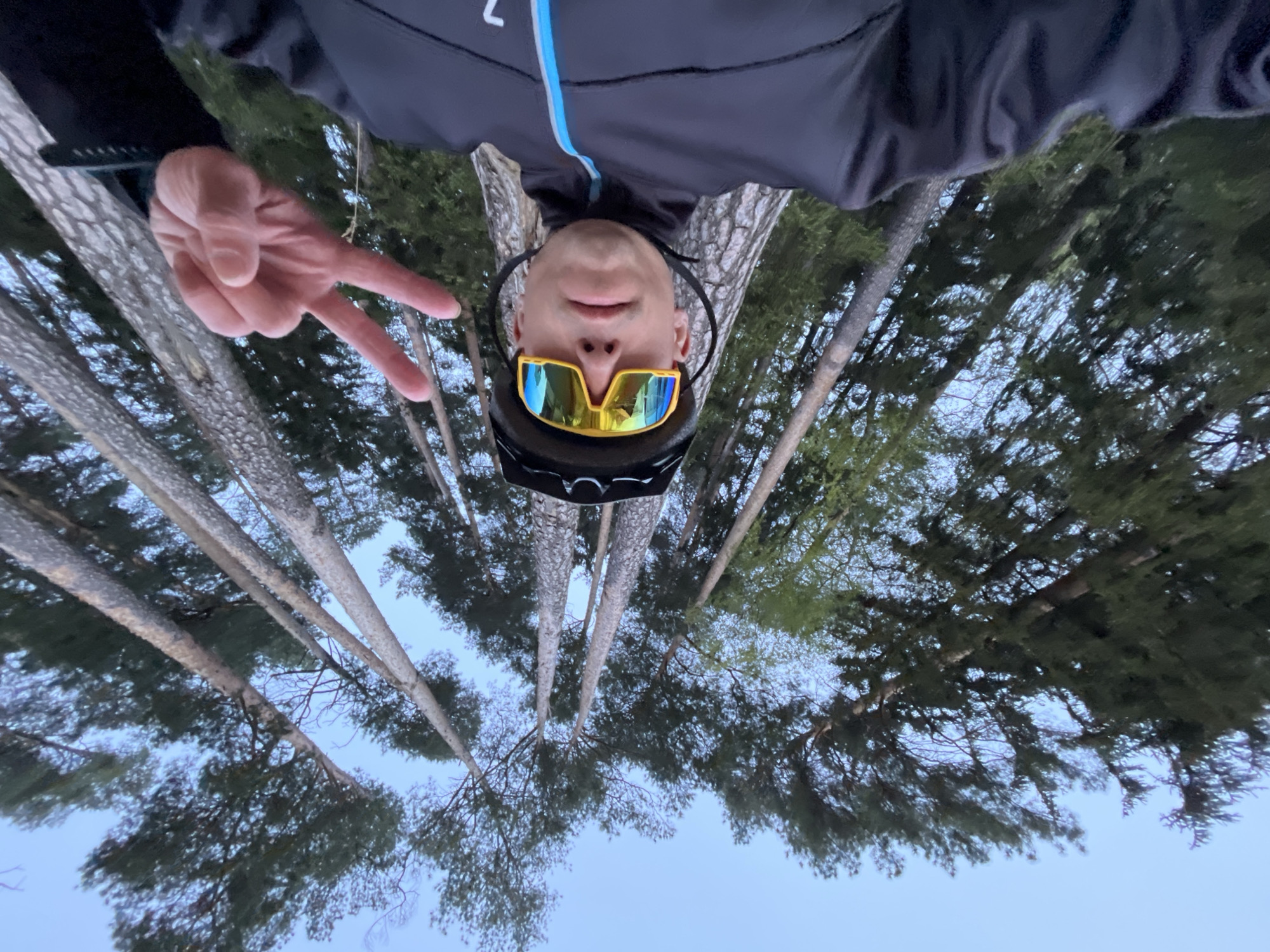 The image is an upside-down selfie of a person wearing yellow mirrored sports sunglasses and a black helmet, positioned among tall trees. The person is making a peace sign with their left hand. The environment appears to be a forest with tall, slender trees reaching upward, silhouetted against a light blue sky. The location is likely Chaikovsky, Russia.