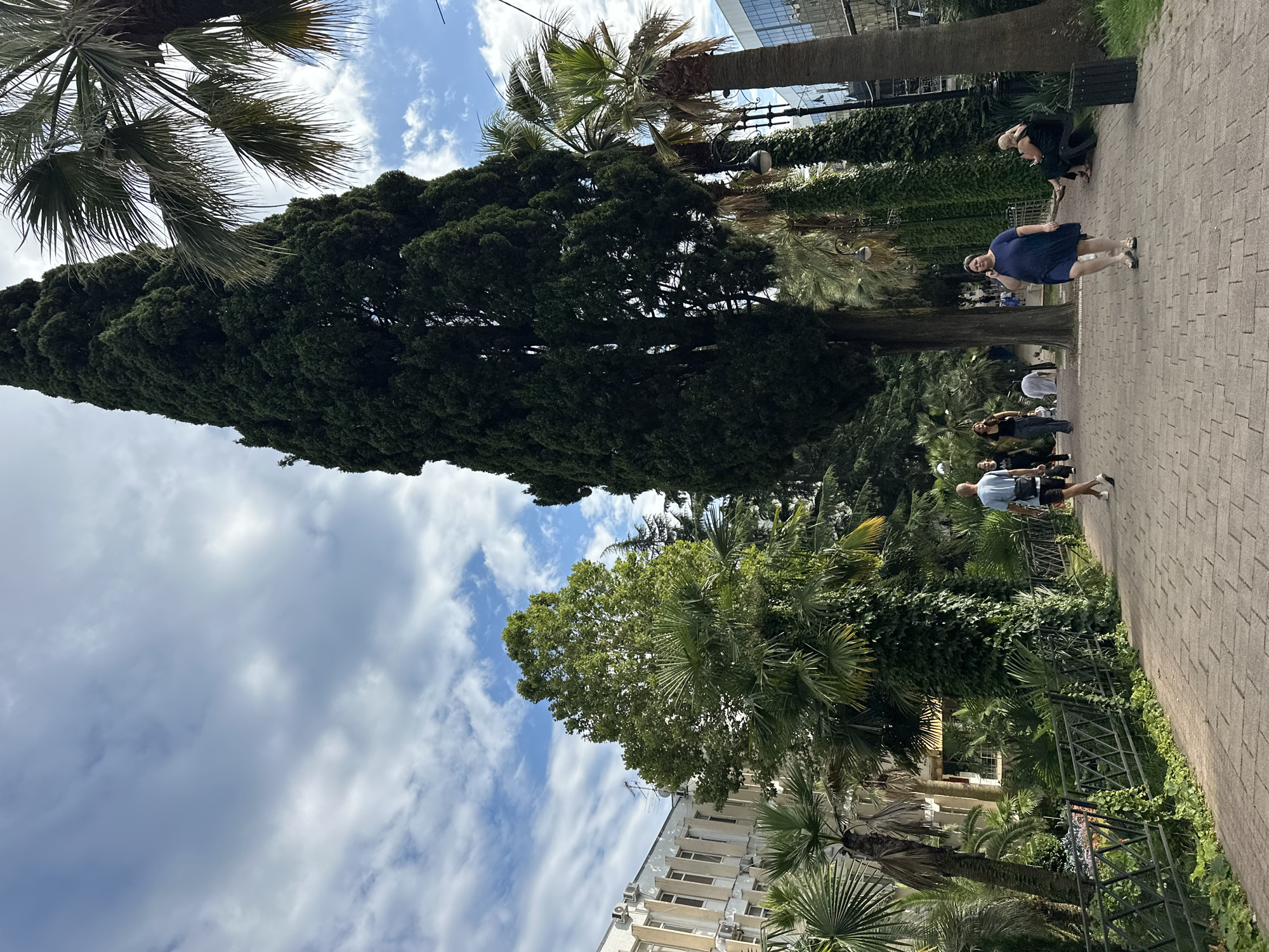 The image depicts a paved pathway in a park-like setting in Sochi, Russia, likely near the coast given the palm trees. The pathway is lined with mature trees, including a tall cypress and several palm trees, creating a lush, green environment. On the left, a light-colored building with numerous windows and air conditioning units is visible. People are seen walking along the path, some conversing or using their phones. In the foreground, a woman in a dark blue dress is walking and speaking on her phone, while a couple sits on a bench in the background. The sky is partly cloudy. The scene suggests a leisurely daytime atmosphere in a well-maintained urban green space.