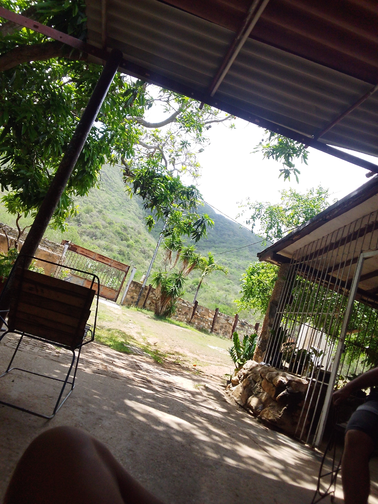 The image shows a view from under a corrugated metal roof, looking out towards a hillside covered in lush green vegetation. A large tree with green leaves is prominent in the foreground on the left, with its trunk obscuring part of the view. To the right, there's a building with a metal-barred window and a stone wall. A metal chair with a wooden seat is placed in the foreground on the left, casting shadows on the concrete ground. In the mid-ground, a rusty metal gate stands open, leading to a dirt path. The scene appears to be outdoors, possibly a rural or semi-rural setting in Guayacán, Venezuela. The bright sky suggests it is daytime, likely sunny given the distinct shadows. The overall mood is relaxed and serene, hinting at a leisurely moment. No visible text is present in the image.