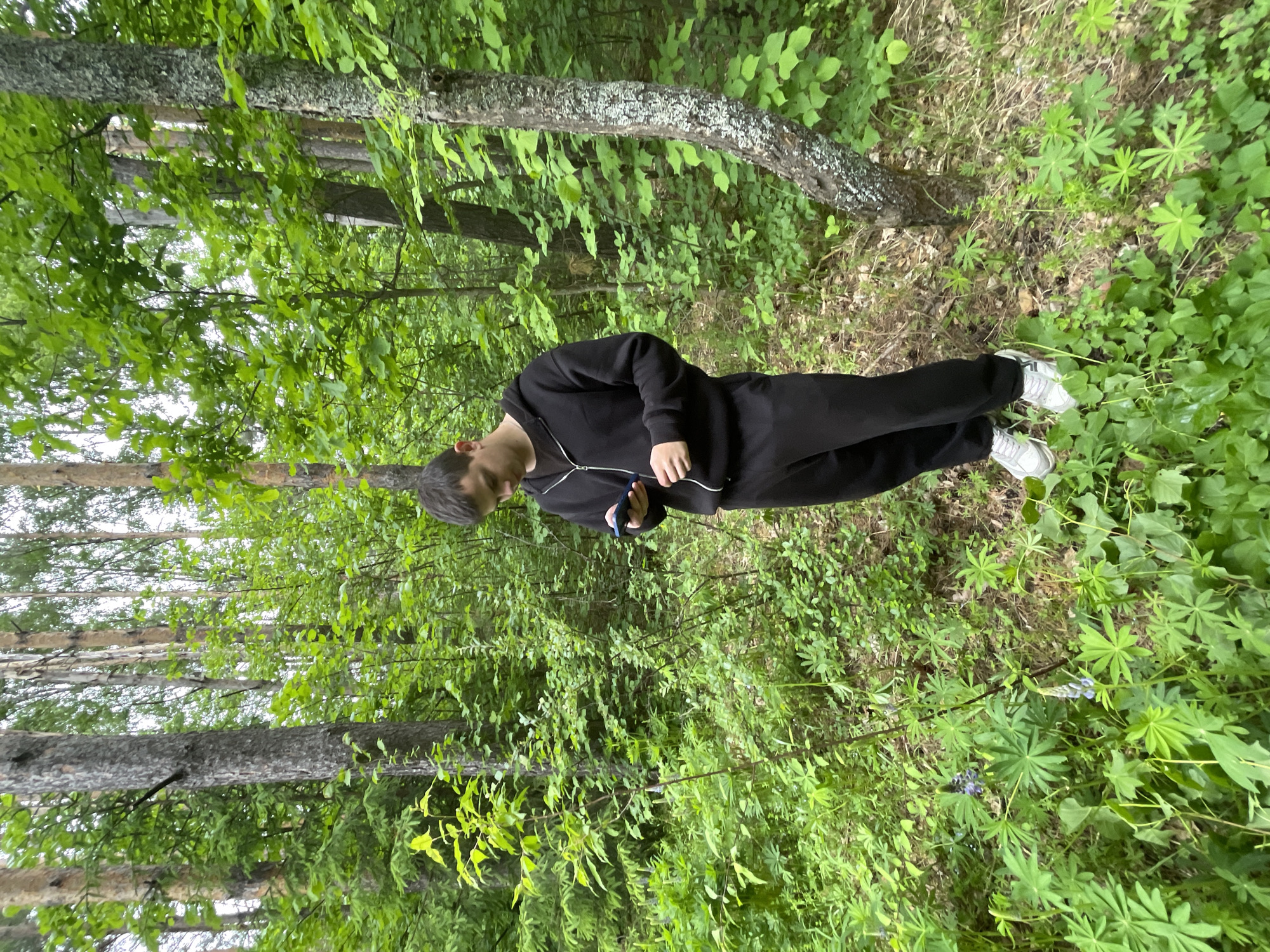 A young person, likely male, stands in a vibrant green forest, possibly in Красные Баки, Russia. He wears a casual black tracksuit, including a zippered hoodie and matching pants, and white athletic shoes with grey accents. His dark hair is visible, and he is looking downwards, holding a dark-colored smartphone in his left hand.
The scene is dominated by dense foliage and numerous tree trunks. The trees display varied bark textures, some covered in patches of moss or lichen. The forest floor is lush with diverse green plants, including those with distinctive palmate leaves and scattered small purple or blue flowers, possibly lupines, particularly visible in the foreground. The ground also shows patches of dried leaves and soil beneath the green undergrowth.
The lighting indicates daytime, with diffused light filtering through the canopy, suggesting an overcast day or dappled sunlight. The overall atmosphere appears calm and natural. The individual's posture is relaxed, seemingly engaged with his phone or observing the ground. No visible text is present in the image.
