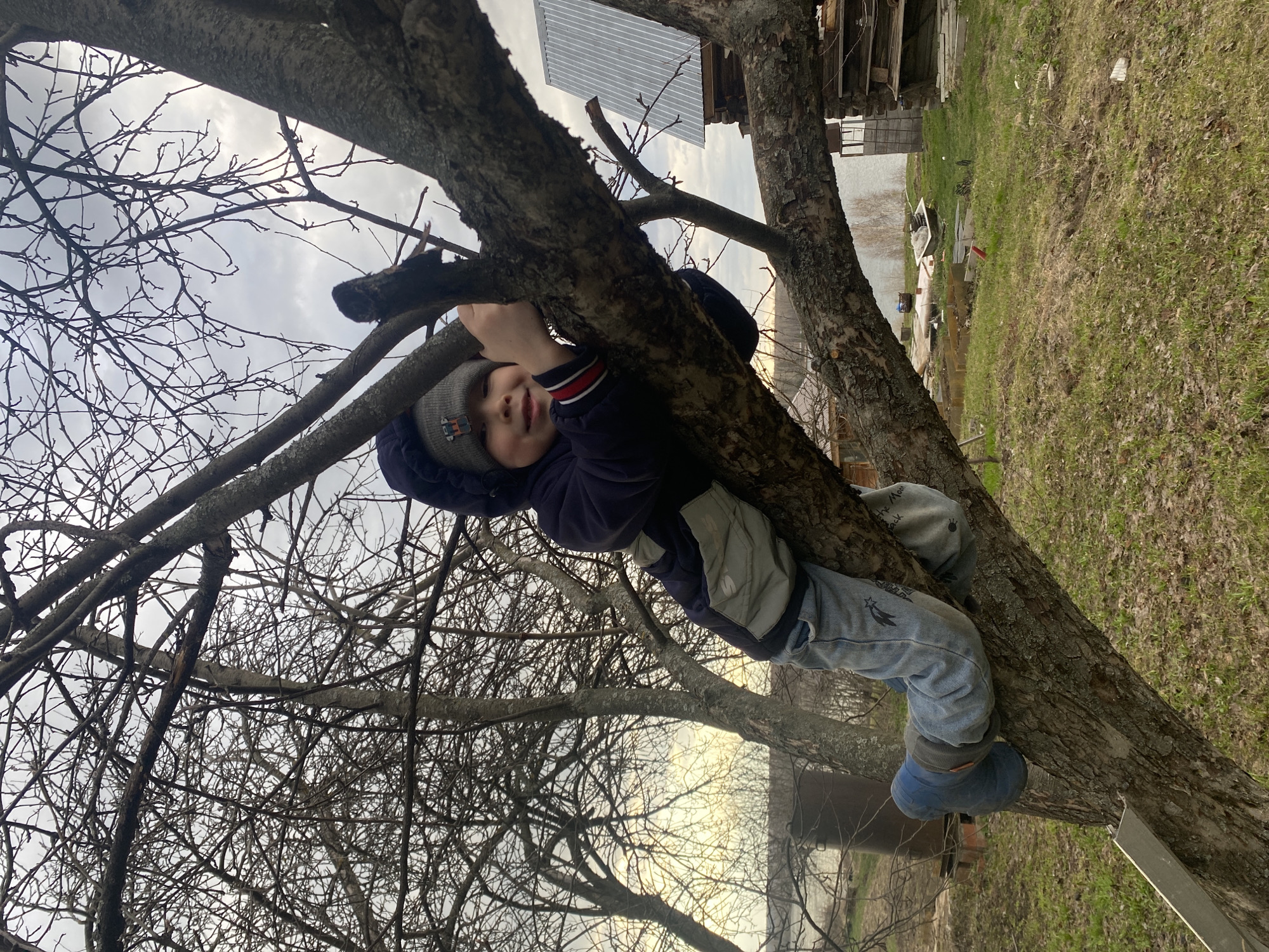 A young child is seen climbing a multi-branched deciduous tree in an outdoor, rural setting. The image is rotated 90 degrees clockwise, making the child appear to be hanging sideways. The child, likely a boy, is dressed in a dark blue hooded jacket with a grey panel, light blue jeans, a grey knit beanie, and blue boots. He is positioned on a thick tree branch, holding on with his hands, and his legs are also supporting him on other branches. He looks towards the camera with a neutral to slightly smiling expression.
The tree's branches are bare, indicating late winter or early spring. The sky is overcast and grey. In the background, rustic wooden structures and a corrugated metal roof are partially visible. The ground beneath the tree has sparse grass and patches of dry leaves.
Visible details include a small graphic (possibly a star) on the child's jeans and an indistinct logo on his beanie. Faint, blurry text, possibly "the Moon and back," can be partially discerned on a light grey inner sleeve. The scene takes place during daytime under cloudy weather in Ольховка, Russia.