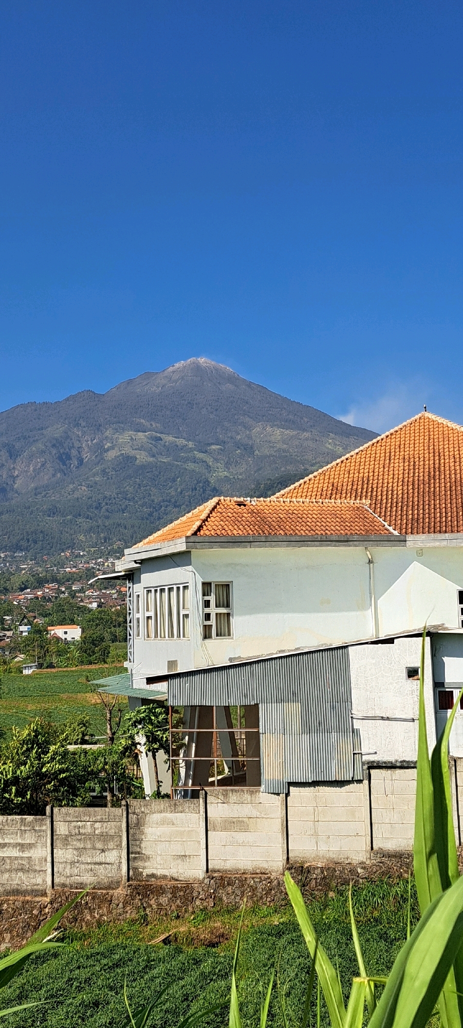 This is a vertical, eye-level, outdoor photograph taken on a clear day, depicting a rural scene with a prominent mountain in the background. The sky is a vibrant, cloudless blue, occupying the top third of the frame. In the middle ground, a light blue two-story building with an orange-tiled roof is partially visible on the right. The building features several windows, including a long bank of windows on the left side of the upper story. A corrugated metal structure is attached to the lower front of the building. A concrete fence runs horizontally across the lower portion of the image, separating a grassy area in the foreground from a cultivated field with rows of green crops beyond it. In the distance, the dark, tree-covered slopes of a large mountain ascend to a visible peak. The base of the mountain and the foothills are dotted with scattered houses and buildings, suggesting a residential area. The photograph appears to capture a view from a higher vantage point overlooking a valley. The location is identified as the city of Kesiman, Indonesia.