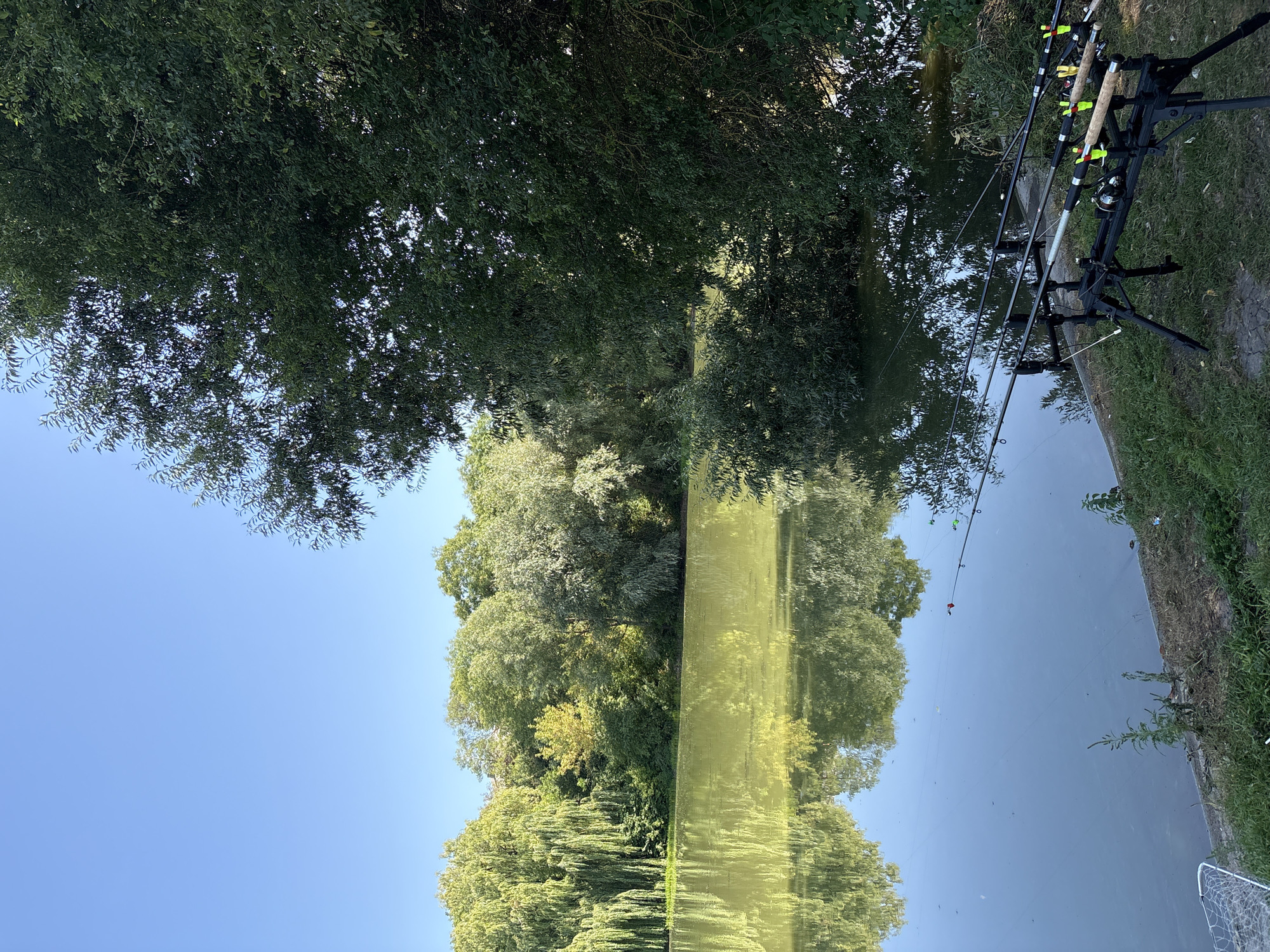 The image depicts a serene waterside scene, likely a lake or pond, surrounded by lush greenery. The water is calm and reflects the trees and clear blue sky. Fishing rods are set up on a bank, suggesting a recreational activity. The foliage consists of a variety of trees, some with drooping branches, adding to the picturesque quality of the setting. The overall atmosphere is peaceful and natural. This scene is located in the city of Lanivtsi, Ukraine.