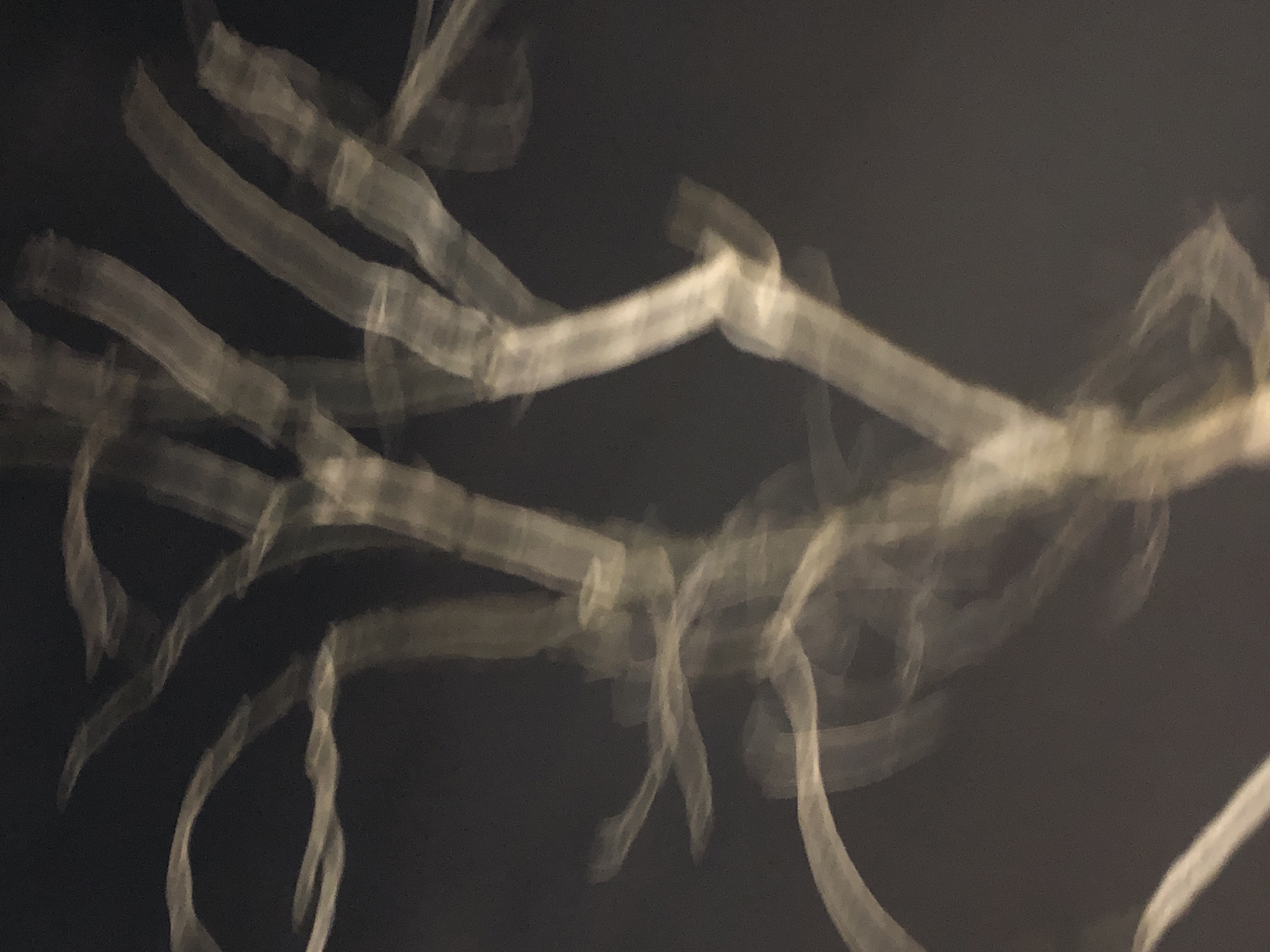 The image displays an abstract composition featuring soft, translucent, light-colored forms against a dark, monochromatic background. These elongated and wavy shapes, appearing in shades of white and light grey, exhibit a diffused, glowing, or ethereal quality. They are highly out of focus, resembling blurred streaks of light, abstract bone-like structures, or delicate smoke trails. No discernible people, specific objects, or recognizable structures are present within the frame.
The dark background suggests a setting in very low light conditions, possibly nighttime or an enclosed space with minimal illumination. There is no identifiable activity or event taking place; the image seems to be an artistic or experimental photograph focused on light and form rather than a literal scene. No text is visible. The abstract nature of the image provides no specific visual cues regarding location, weather, or time of day beyond the general dark environment.