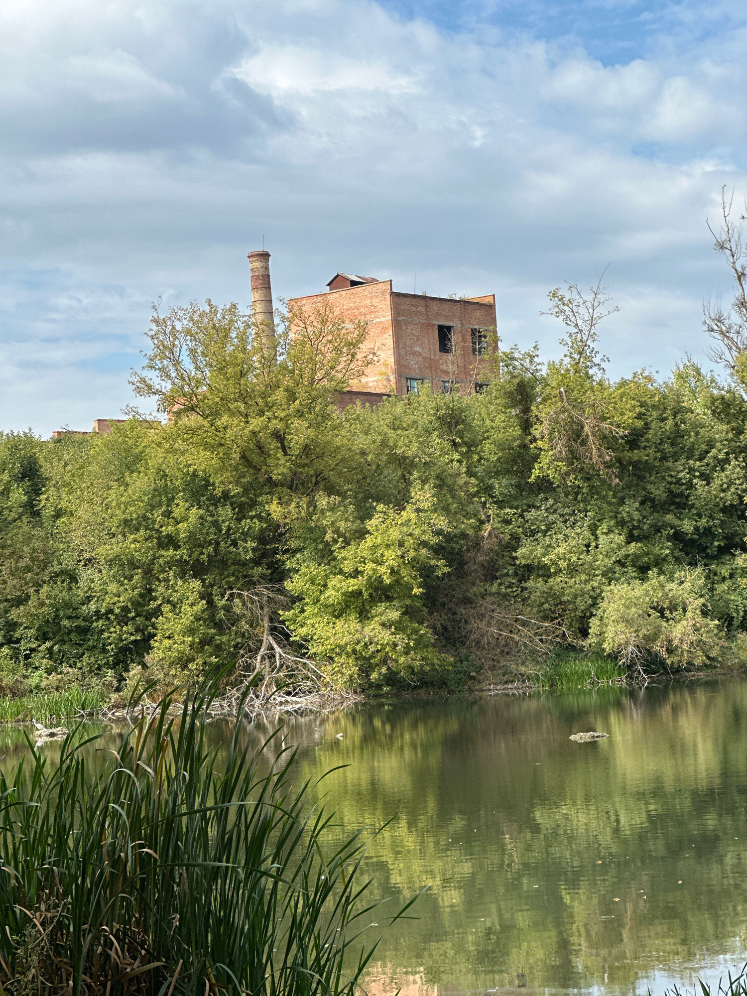 The image depicts a natural landscape with an industrial building in the background. A body of water occupies the foreground, with tall green reeds growing along the bank. The water is calm and reflects the surrounding trees and sky. Behind the reeds, a dense forest of green trees covers a hillside, partially obscuring an old brick industrial building. The building has a tall, cylindrical chimney and appears to be disused, with broken windows visible. The sky is partly cloudy, with a mix of blue sky and grey clouds. The overall scene suggests a location where nature is reclaiming an industrial site. The text provided states this is in the city of Makiv, Ukraine.