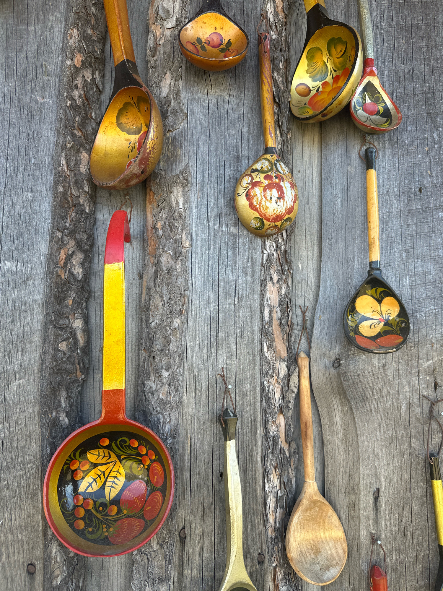 A collection of decorative wooden spoons, painted in traditional Russian folk art style, are displayed vertically on a weathered wooden wall. The spoons vary in size and design, featuring floral motifs, berries, and abstract patterns in vibrant colors such as red, yellow, green, and gold. Some spoons are more elaborately painted, while others are simpler, showcasing the natural wood grain. The wall itself appears to be constructed from rough-hewn wooden planks, with visible bark and knots, suggesting an outdoor setting. The overall impression is one of rustic charm and cultural heritage. This scene is located in Kargat, Russia, a city known for its agricultural and historical significance.