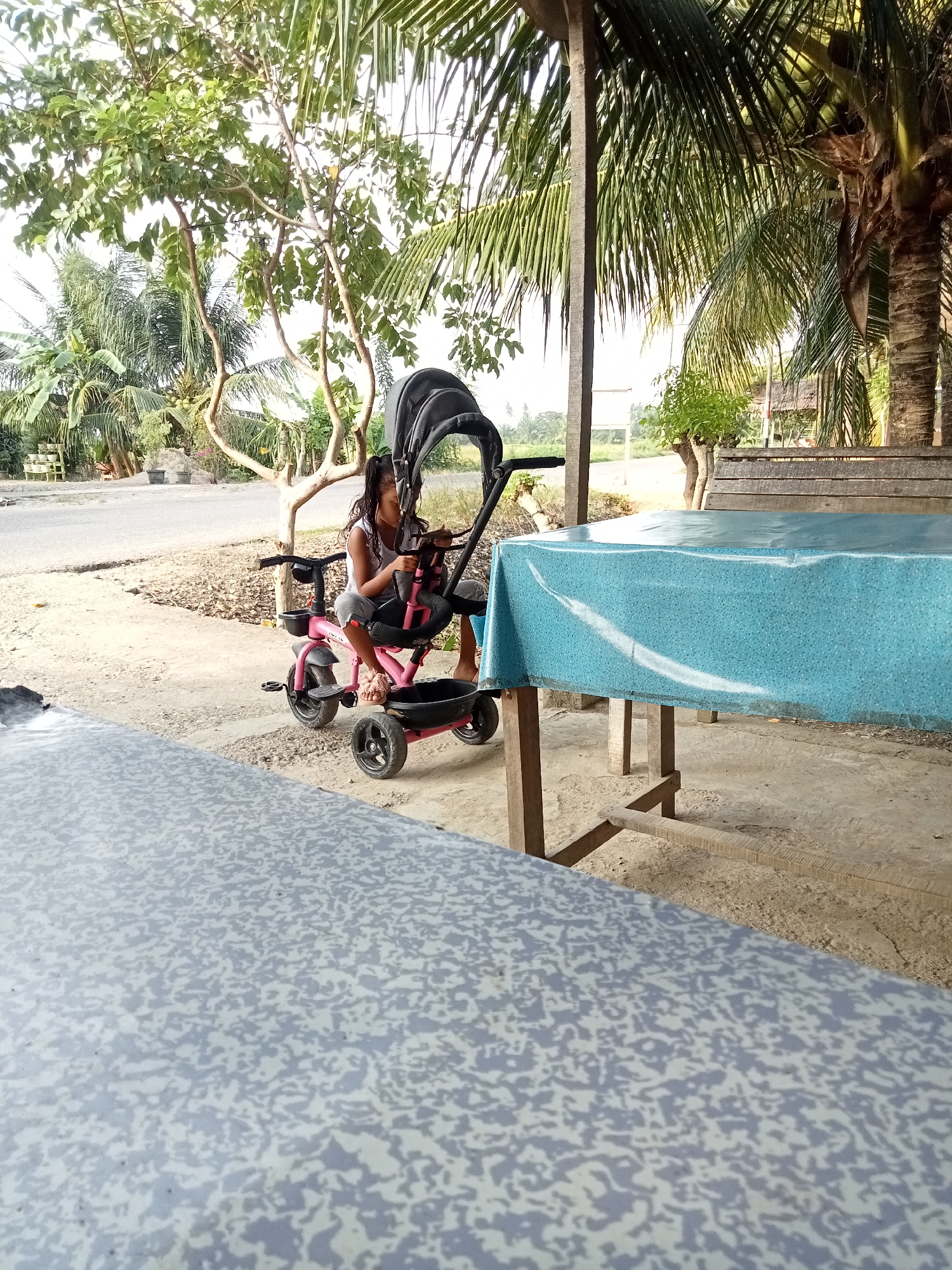 In Matangsijuek Timur, Indonesia, a young girl is seated in a pink tricycle with a black canopy. The tricycle has a push handle attached, suggesting it can be steered by an adult. The girl is wearing a white tank top and gray shorts, with light pink sandals. She is holding onto the handlebars of the tricycle. The tricycle is positioned on a dirt and gravel surface next to a paved road. In the background, there are trees, including palm trees, and vegetation. To the right of the tricycle, a wooden table covered with a blue, patterned tablecloth is visible. The scene appears to be outdoors, possibly in a rural or semi-rural setting, with natural light suggesting it is daytime.
