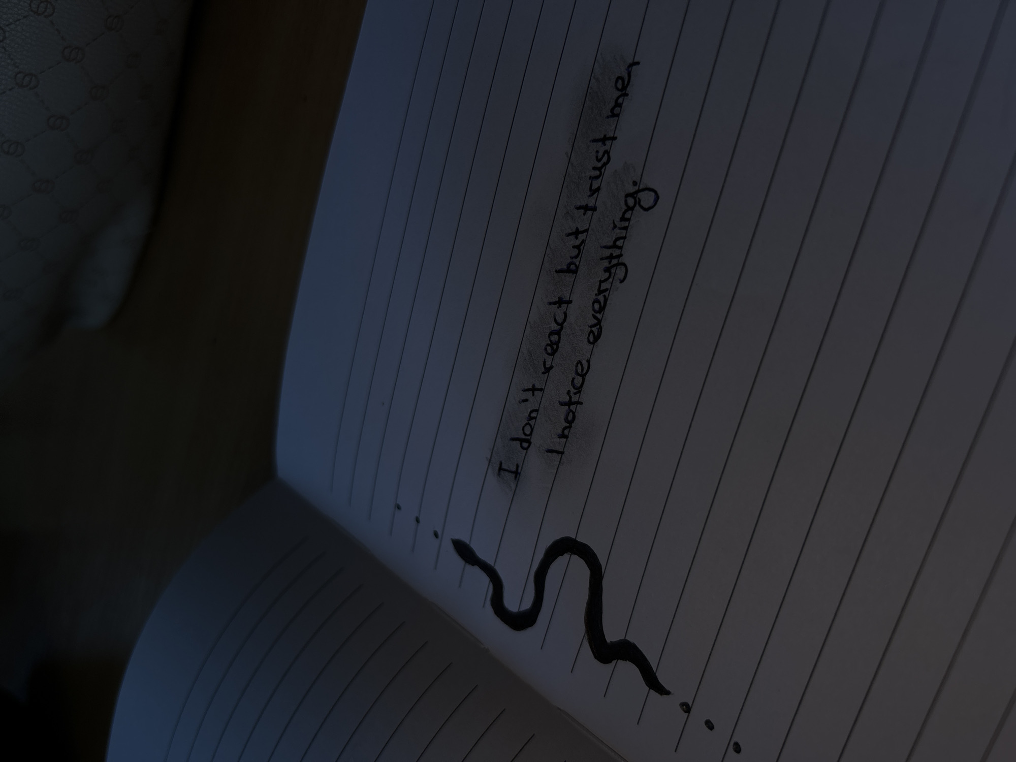 The image shows an open notebook with lined pages. On the right page, handwritten text in black ink reads, "I don't react but trust me, I notice everything." Below the text, a black, drawn snake is depicted, its body curving across the page. To the left of the snake, a series of three small dots are visible. The notebook is resting on a surface, possibly a table or bed, with a textured material, possibly fabric with a repeating 'S' pattern, visible in the upper left corner. The lighting suggests it is either nighttime or a dimly lit indoor environment. The overall mood is somewhat somber and introspective, due to the dark lighting and the message written in the notebook. The location context provided is Vidin, Bulgaria, but there are no specific visual cues in the image to confirm this location.