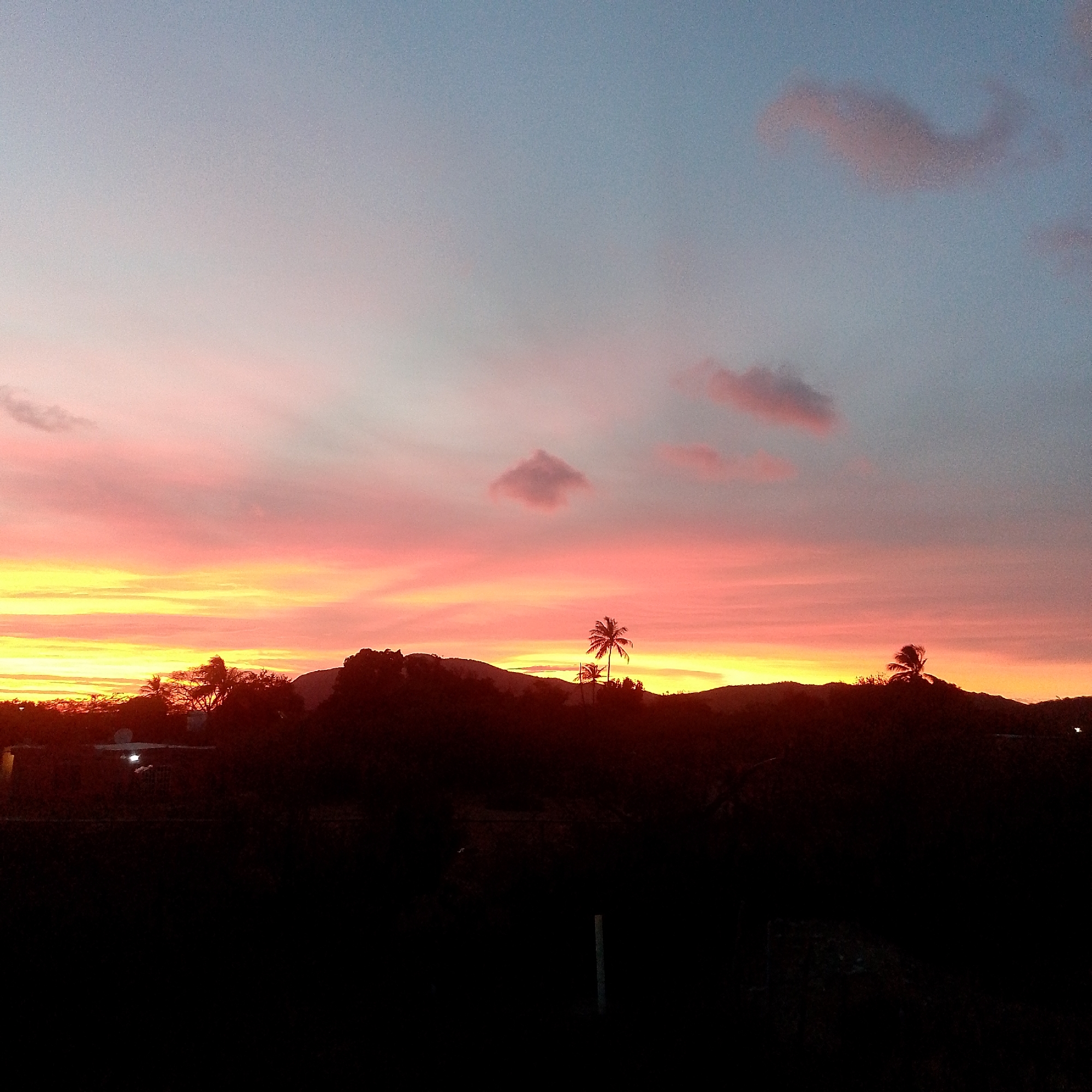The image shows a sunset in Altagracia, Venezuela. The sky transitions from a pale blue at the top to pink and yellow hues closer to the horizon. Several small, wispy clouds are scattered across the sky.
The silhouette of a mountainous landscape with trees and several palm trees is visible against the bright horizon. In the foreground, the area is dark, with the vague shapes of buildings and possibly some infrastructure.