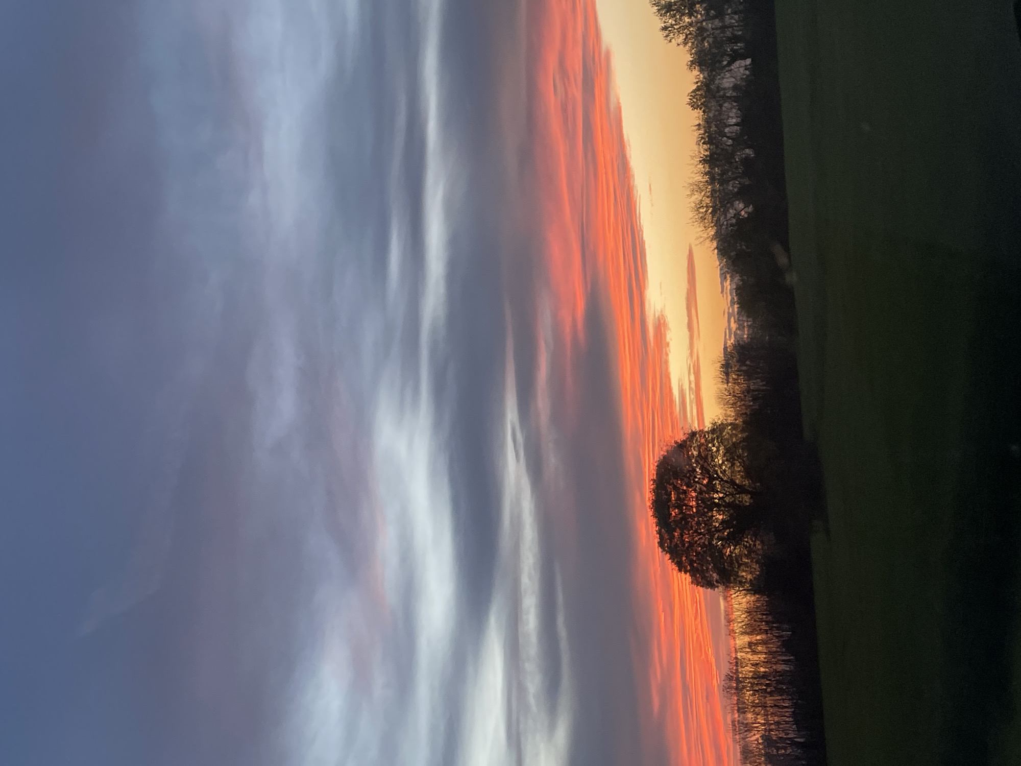The image depicts a sunset scene. In the foreground, there's a tree silhouetted against the colorful sky. To the right of the tree, there is a dark green field and a line of trees. The sky is striped with layers of clouds, showcasing shades of orange, red, white, and gray. The picture is taken with a vertical orientation. The location cannot be ascertained from the image.
