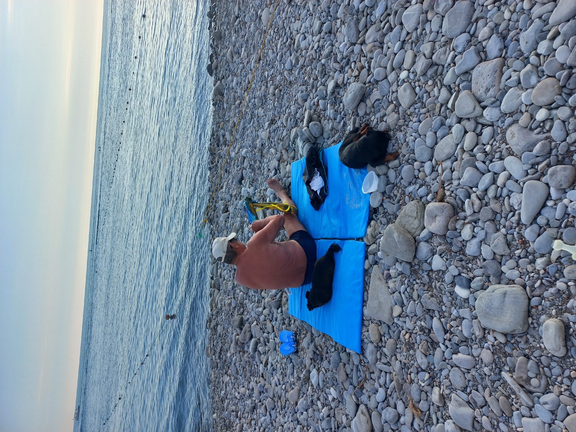 A man in swim trunks and a cap sits on a blue mat on a pebble beach, facing the sea. Two dogs, one black and one Rottweiler, lie on the mat. The sea is calm and blue, with a few buoys and a boat in the distance. The sky is clear and pale blue. The beach is covered in smooth, grey pebbles of various sizes. The scene appears to be located on the coast of Sochi, Russia.