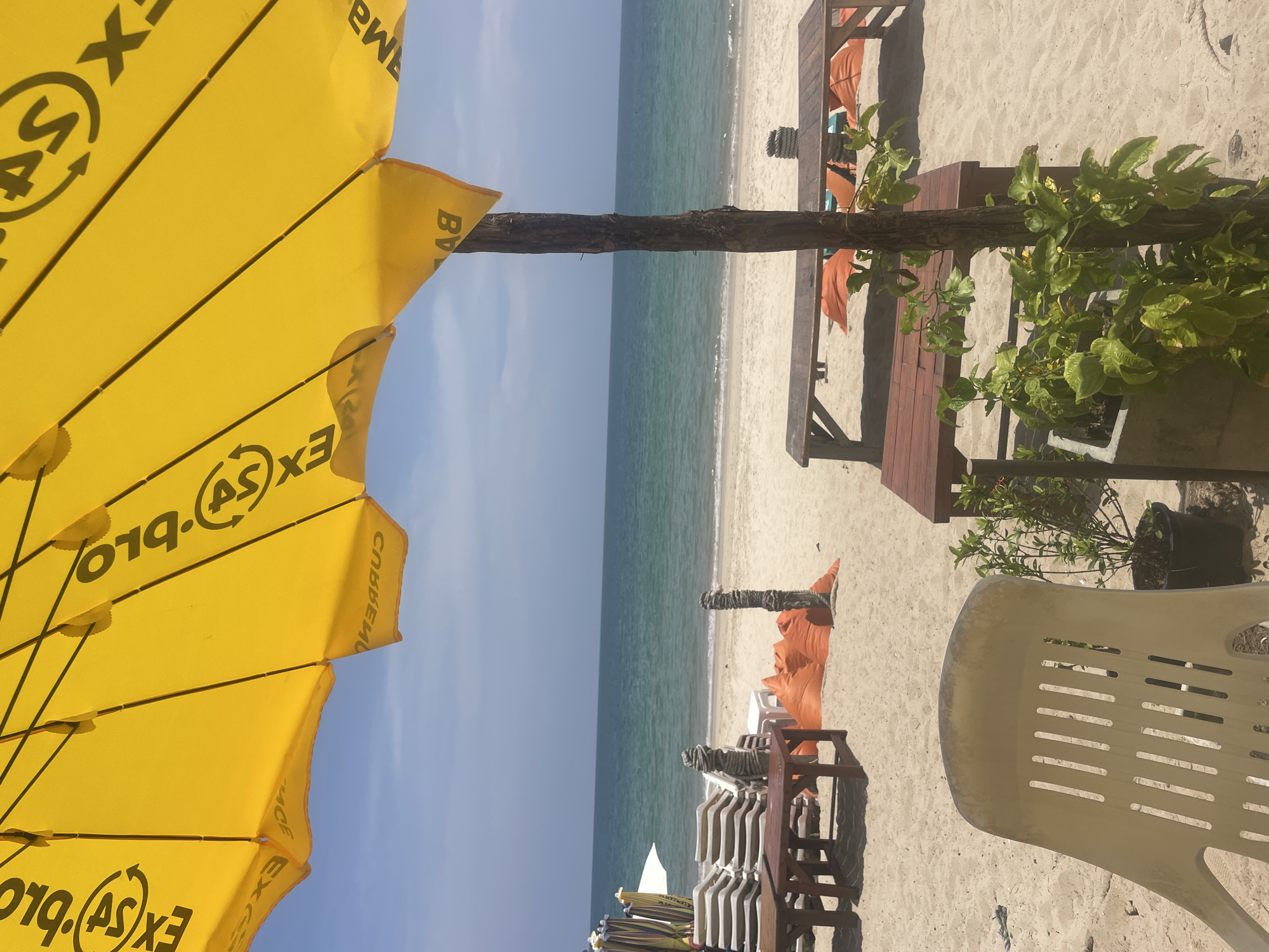 The image captures a vibrant beach scene in Choeng Thale, Thailand, viewed from beneath a large, bright yellow beach umbrella. The umbrella dominates the left side of the frame, displaying black text and logos, including "EX.S.A.BLO" with an arrow graphic, and partial, reversed words like "CUBBERHO" and "BV".
A prominent wooden pole or beam horizontally bisects the image, creating a visual divide between the umbrella and the beach beyond. A lush potted plant with green leaves is situated on the right, near this pole.
The midground and background reveal a tranquil sandy beach stretching towards the calm, blue-green ocean. A clear horizon line separates the water from a bright, light blue sky. Gentle waves lap at the shore. Scattered across the sand are several wooden picnic tables and benches, some adorned with draped orange fabric. Stacked lounge chairs in white and brown tones are also visible, suggesting a relaxed resort setting. A light-colored plastic chair rests in the lower right corner, and another potted plant adds to the verdant touch. The scene is bathed in bright sunlight, indicated by the shadows cast by the objects. No people are present, lending a serene and inviting atmosphere to this daytime beach view.