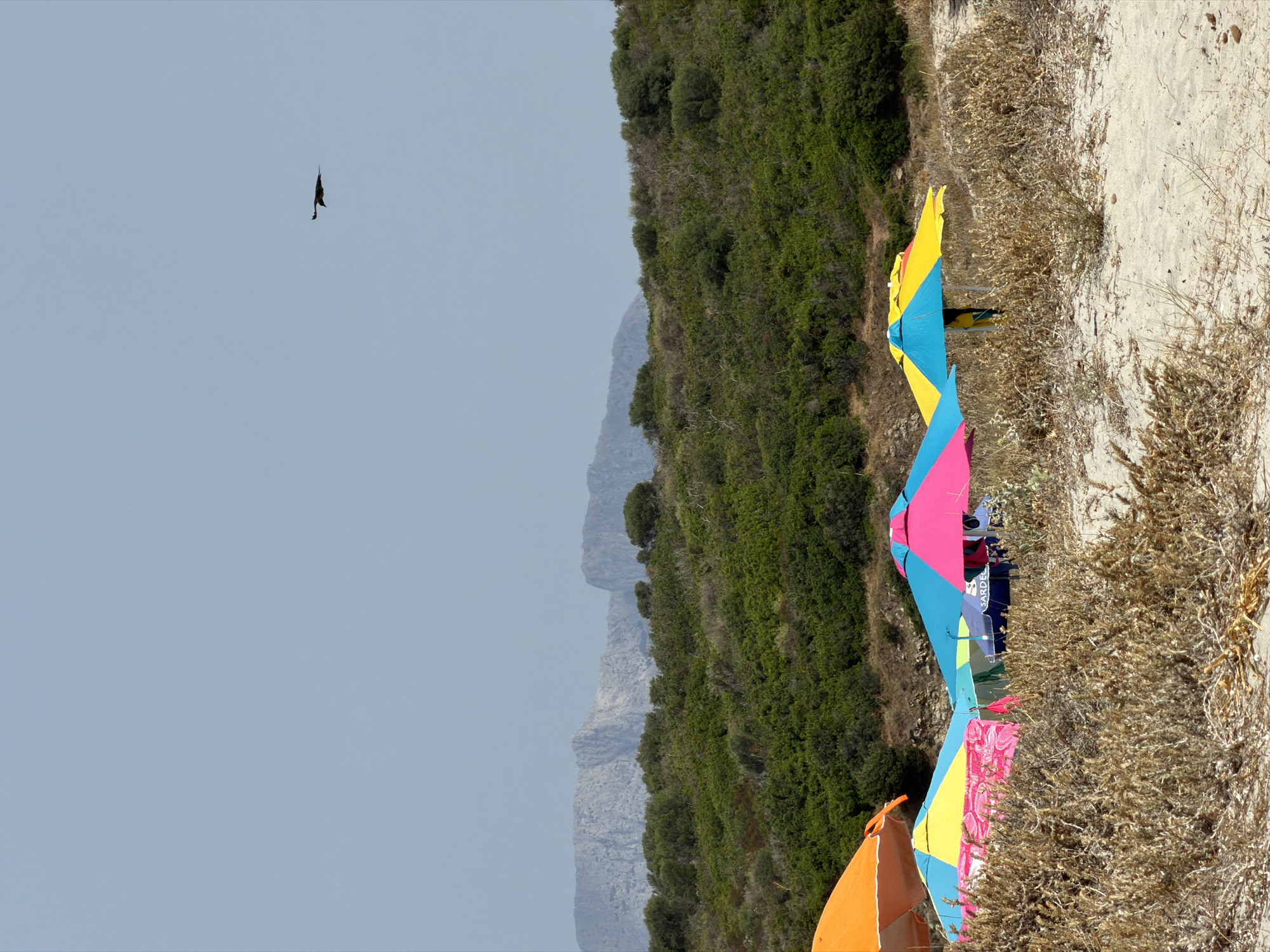 This is a photograph of a beach in Olbia, Italy, under a pale blue sky. In the foreground, there are several beach umbrellas in various vibrant colors, including orange, yellow, blue, and pink. These are set up on a sandy beach with dry, spiky vegetation. Behind the umbrellas, there is a dense green hillside covered in bushes and trees. In the far distance, rugged, rocky mountains are visible, softened by haze. A single bird is captured in flight against the sky. The scene depicts a typical summer day at a coastal location.
