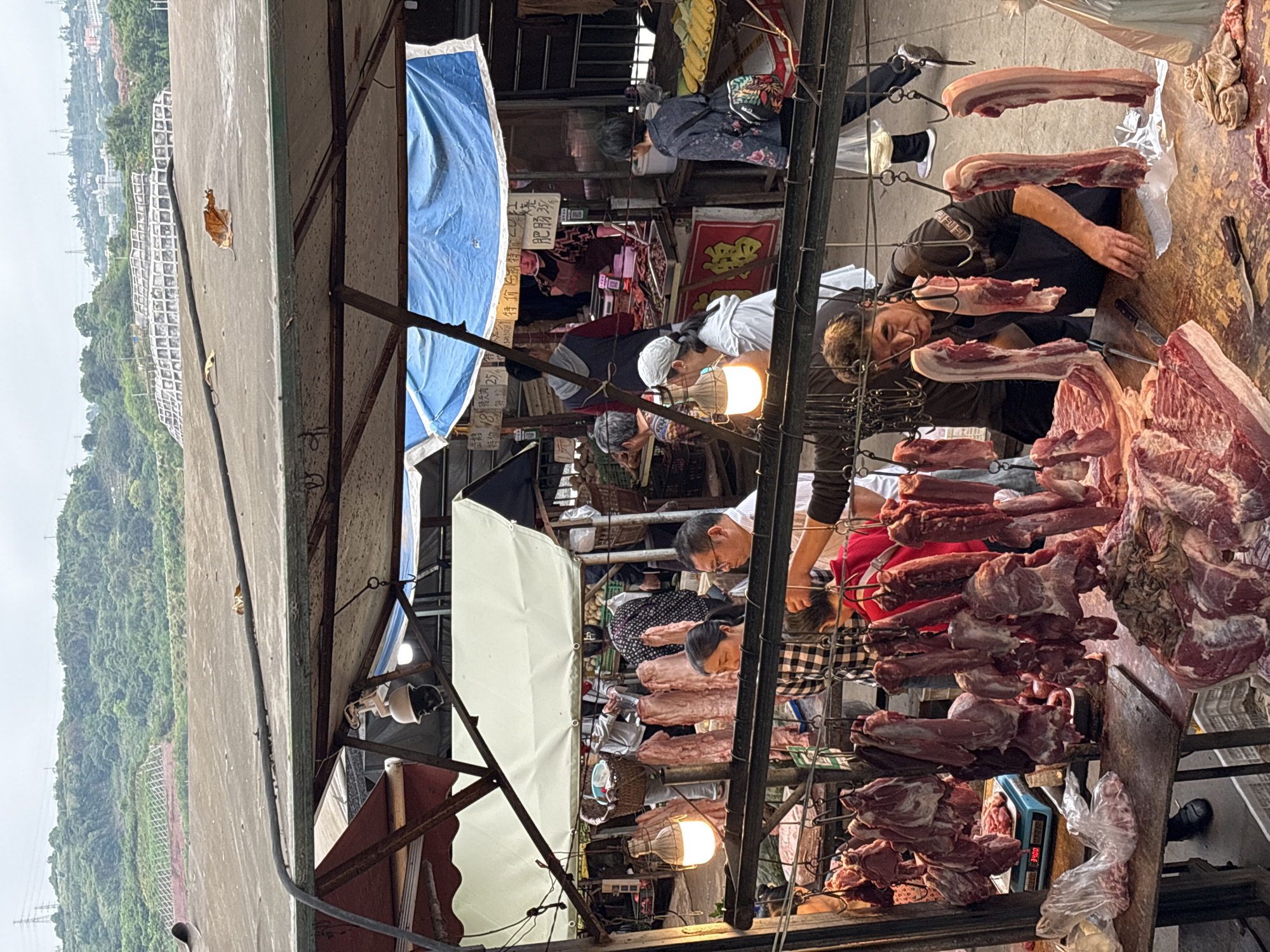 The image captures a bustling meat market scene in Jiangjin, China, under an overcast sky. The market appears to be semi-covered by structures with metal frames and blue and white tarps, suggesting an outdoor or open-air setting.
Several people, mostly adults, are present. In the foreground and mid-ground, vendors are actively engaged with their products. One vendor, a man with short hair and a dark shirt, is seen cutting large pieces of raw meat on a wooden block, surrounded by various cuts hanging from hooks. Another vendor, a woman with light hair, is also visible, looking towards the viewer with a slight smile amidst her meat display. Other individuals, both vendors and potential shoppers, are visible deeper within the market, some looking at stalls or attending to goods.
The primary objects of sale are large quantities of raw meat, including pork and beef, displayed prominently. Chunks of meat, some with visible fat layers, hang from metal hooks, while larger cuts are laid out on tables or blocks. Bright incandescent light bulbs illuminate the stalls. A digital scale displaying "3.00" is visible next to a pile of meat wrapped in plastic.
In the upper portion of the image, a concrete surface with a dried brown leaf suggests a roof or elevated walkway above the market. Beyond this, the landscape features lush green, tree-covered hills under a soft, diffused light, indicating a daytime setting. Distant structures, including what appears to be a large grid-patterned facility and some power lines, are visible against the hilly backdrop.
Visible Chinese text includes "特价供应" (Special Offer/Supply) and "肥肠块" (Fatty Intestine pieces) written in white on a blue tarp. A red sign in the background prominently features the character "福" (Fu), meaning good fortune or blessing.