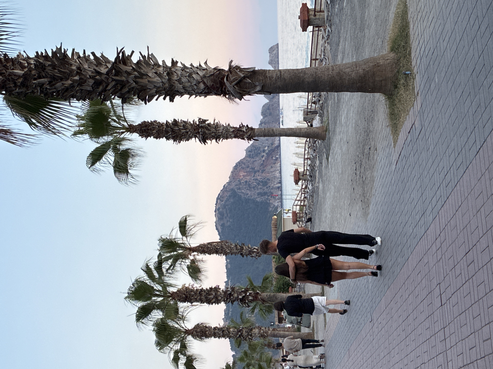 The image shows a group of people walking along a paved pathway lined with palm trees. In the background, there is a body of water, likely the sea, with a rocky coastline and mountains under a pale, dusky sky. The time of day appears to be late afternoon or early evening, given the soft light and colors in the sky. The weather seems to be pleasant, with no indication of rain or strong winds.
Several individuals are visible, dressed in casual attire. One couple is in the foreground, with the man in a black t-shirt and black pants, and the woman in a black dress. They appear to be walking together. Further down the path, another person is seen wearing a black t-shirt and white shorts. The overall atmosphere suggests a relaxed setting, possibly a promenade or tourist area.
The pathway is paved with grey rectangular tiles, and the palm trees are mature with thick, textured trunks and sparse fronds. In the distance, there are glimpses of beach chairs and umbrellas, hinting at a nearby beach or resort. The backdrop of mountains adds a scenic element to the location. No visible text is present in the image. The setting, with palm trees and the sea, combined with the casual attire of the people, suggests a warm-climate location like Alanya, Turkey.