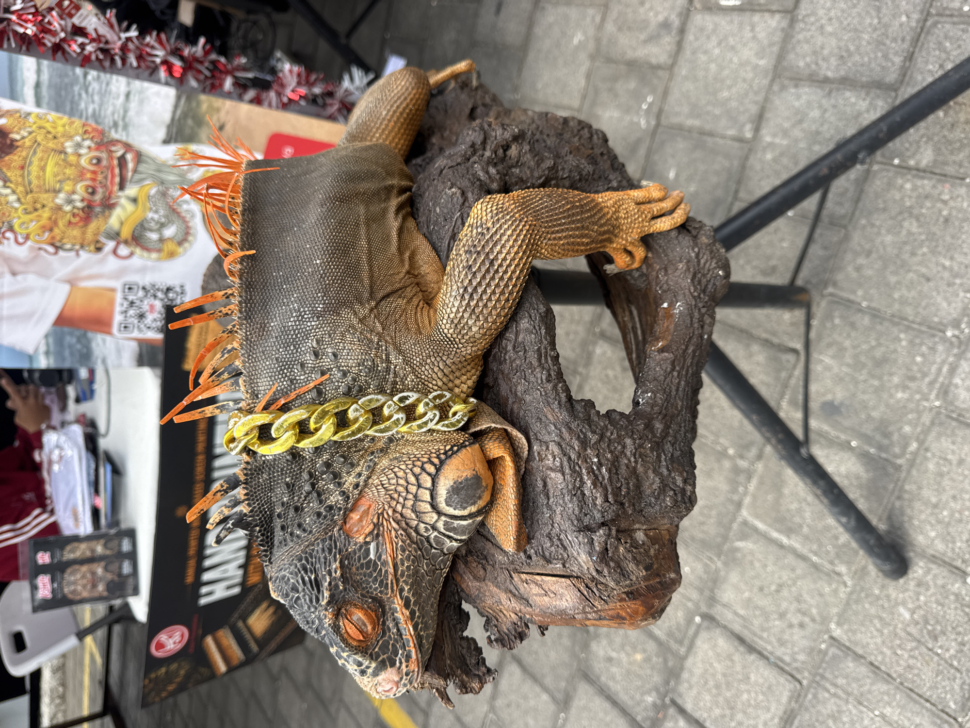An iguana, adorned with a thick gold chain around its neck, rests on a piece of driftwood supported by a metal stand. The iguana has orange spines along its back and orange coloration on its legs and face. It is positioned outdoors on a gray paved surface. In the background, out of focus, are market stalls with various items and some people. To the left, a sign with the word "HAND" is visible. To the right, a poster features a colorful illustration of a Balinese mythological creature. The scene appears to be a street market in Kuta Selatan, Indonesia.